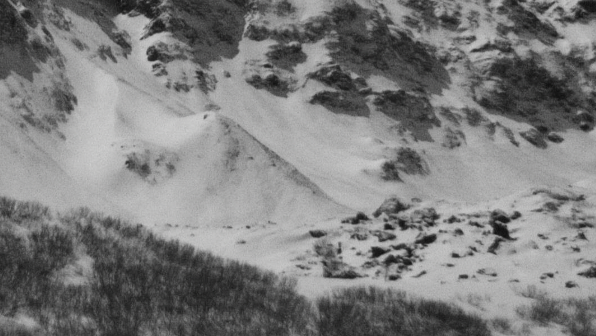 Screenshot 2024-02-23 at 3.46.57 PM.png