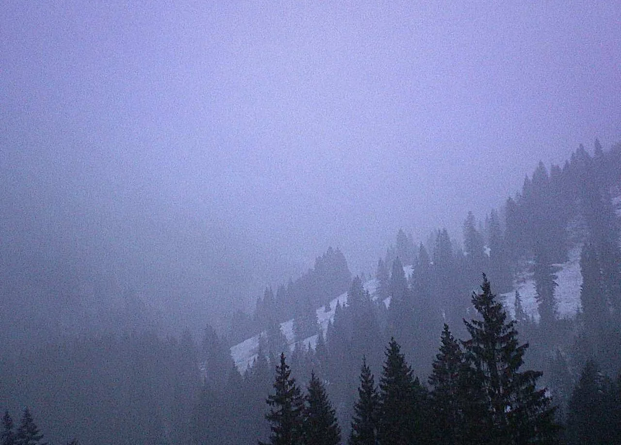 _n12517-5641-0_l copy.jpg