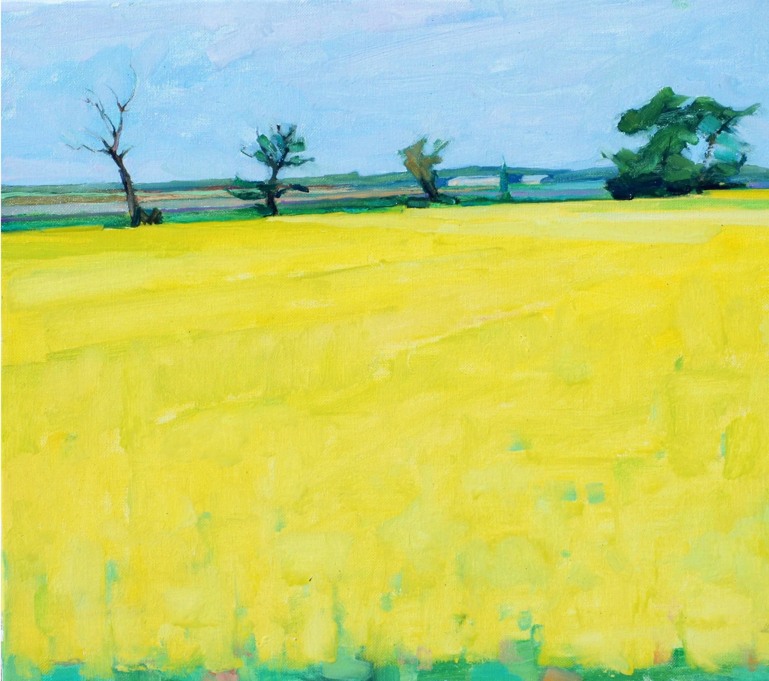 Mustard Field. 14x18