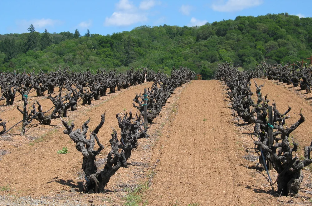 All cleaned up and ready for another growing season