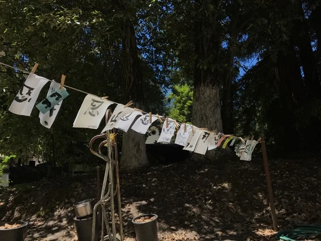 Summer Ninja Camp 夏の忍者キャンプ