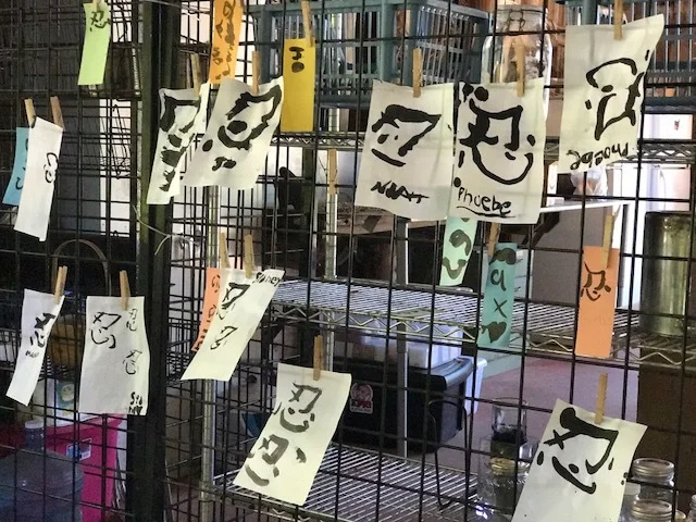 My First Ninja Summer Camp 初めての夏の忍者キャンプ