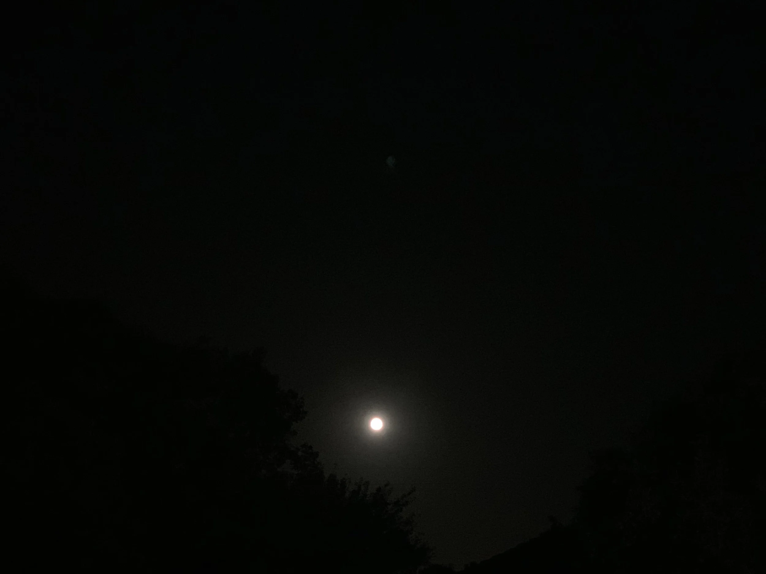 Moon Viewing Ceremony 中秋の名月 