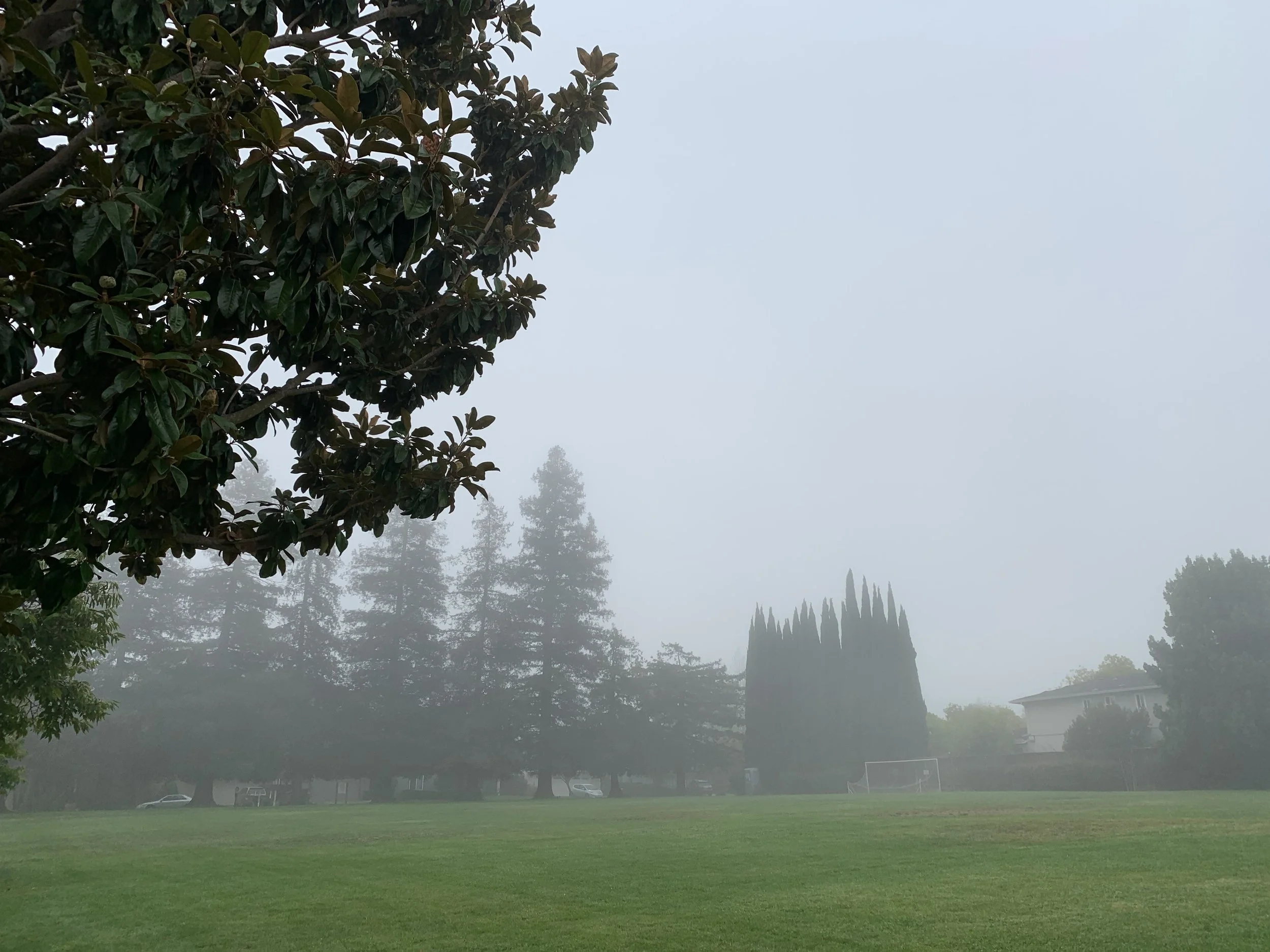 The News of Autumn 秋の知らせ