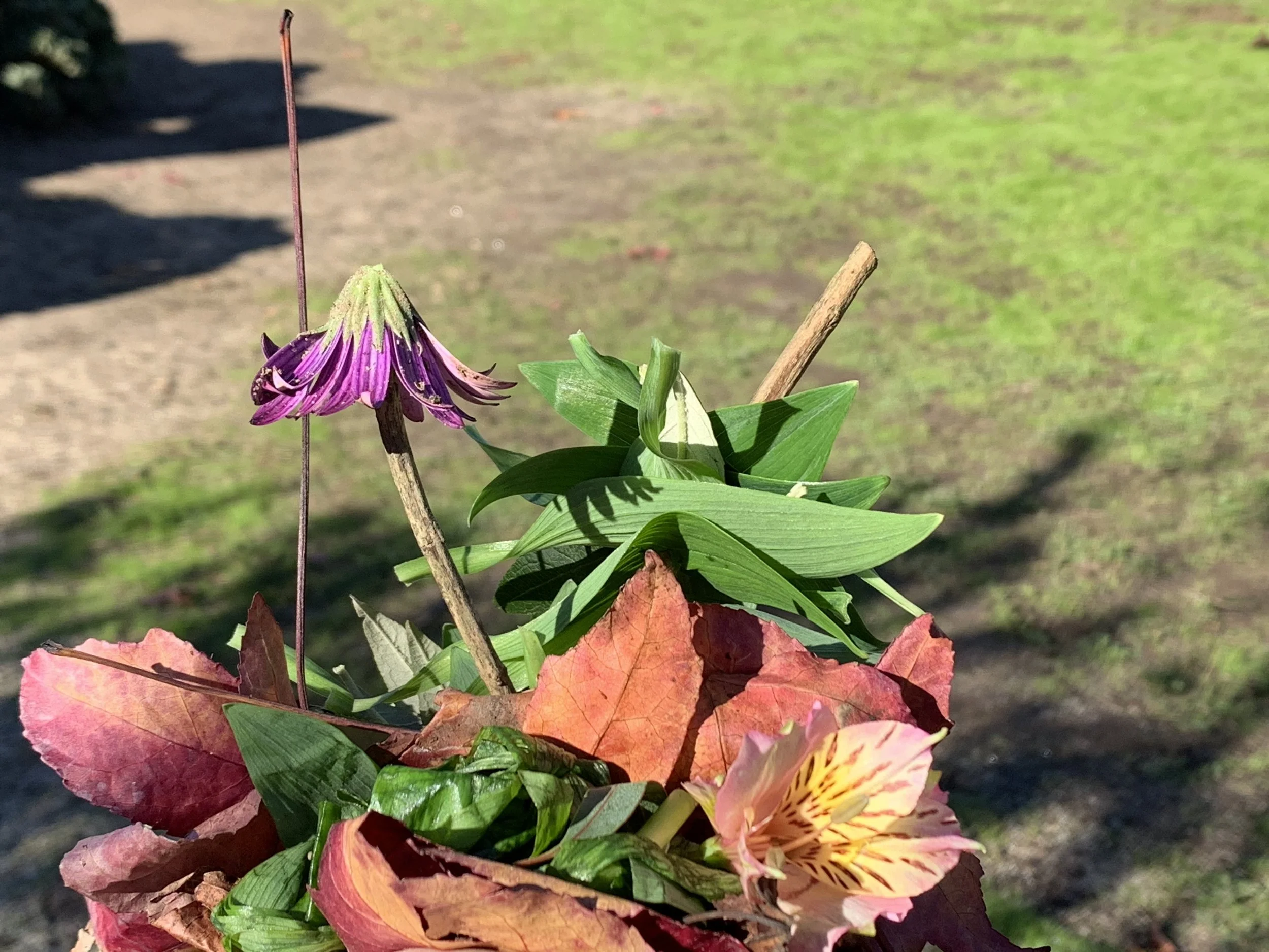 IMG_4714.jpeg
