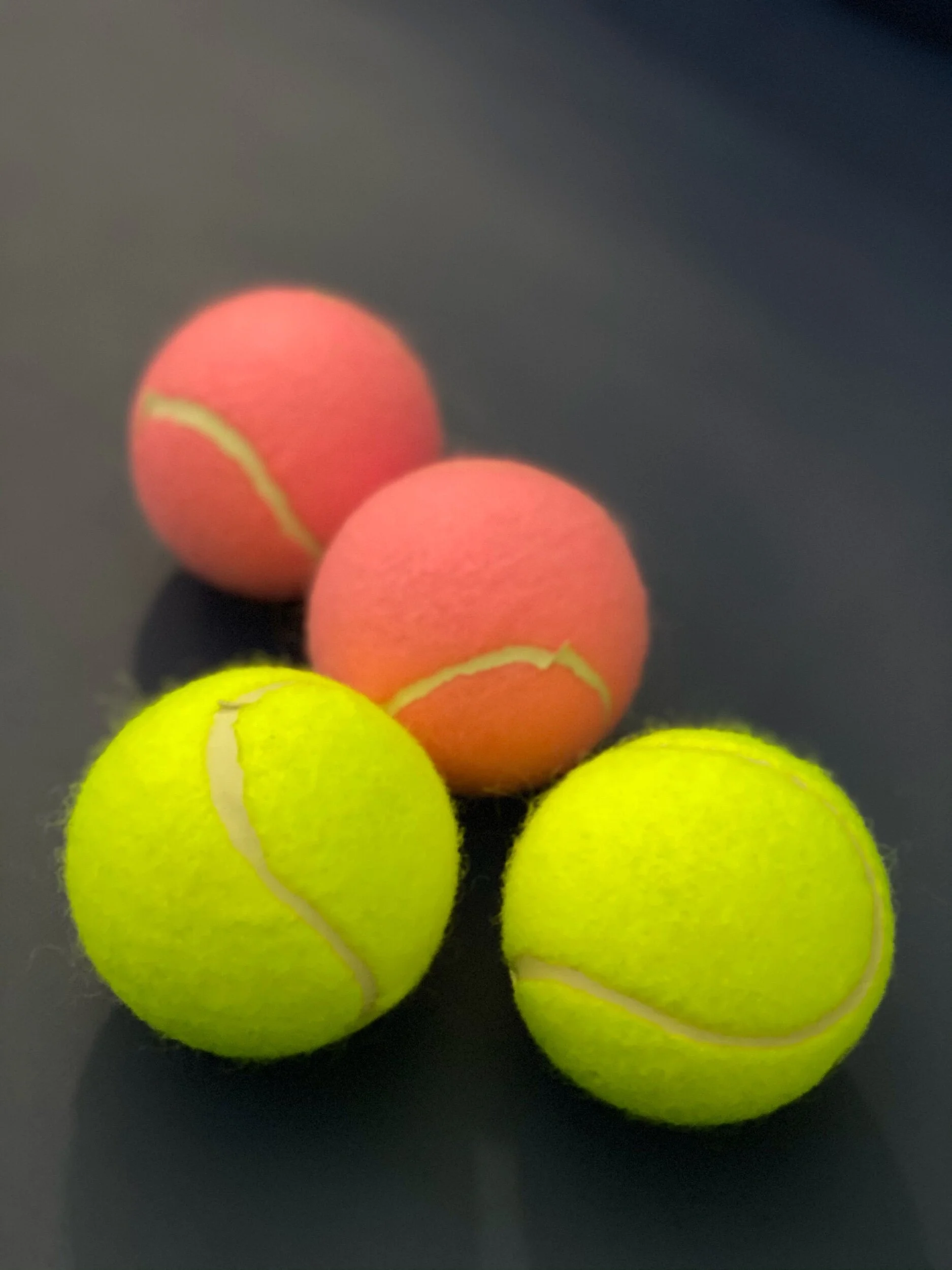 Talentology Sainougaku- 6 才能学を受けました−6