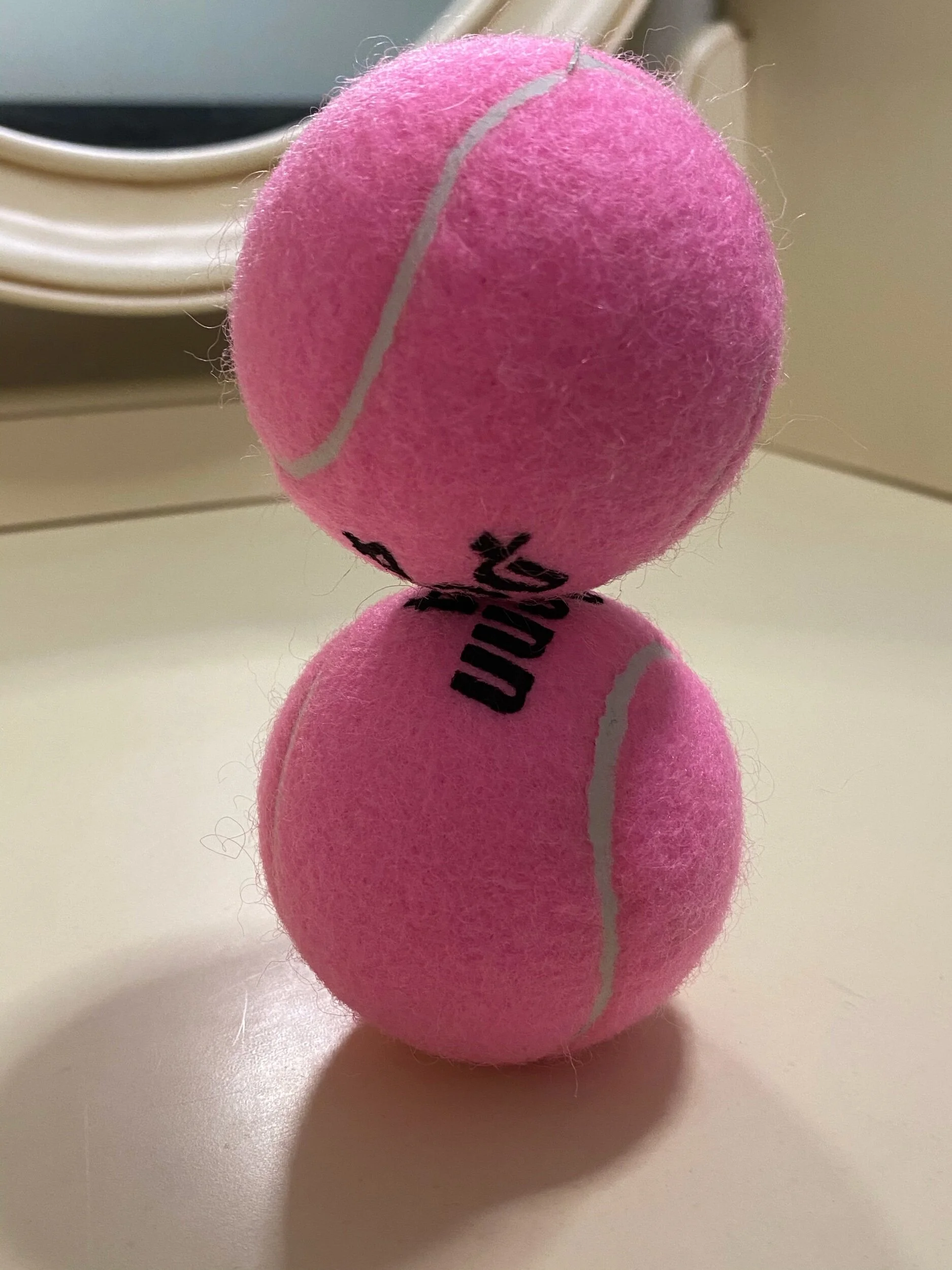 Talentology-Sainougaku - 7 才能学を受けました−7