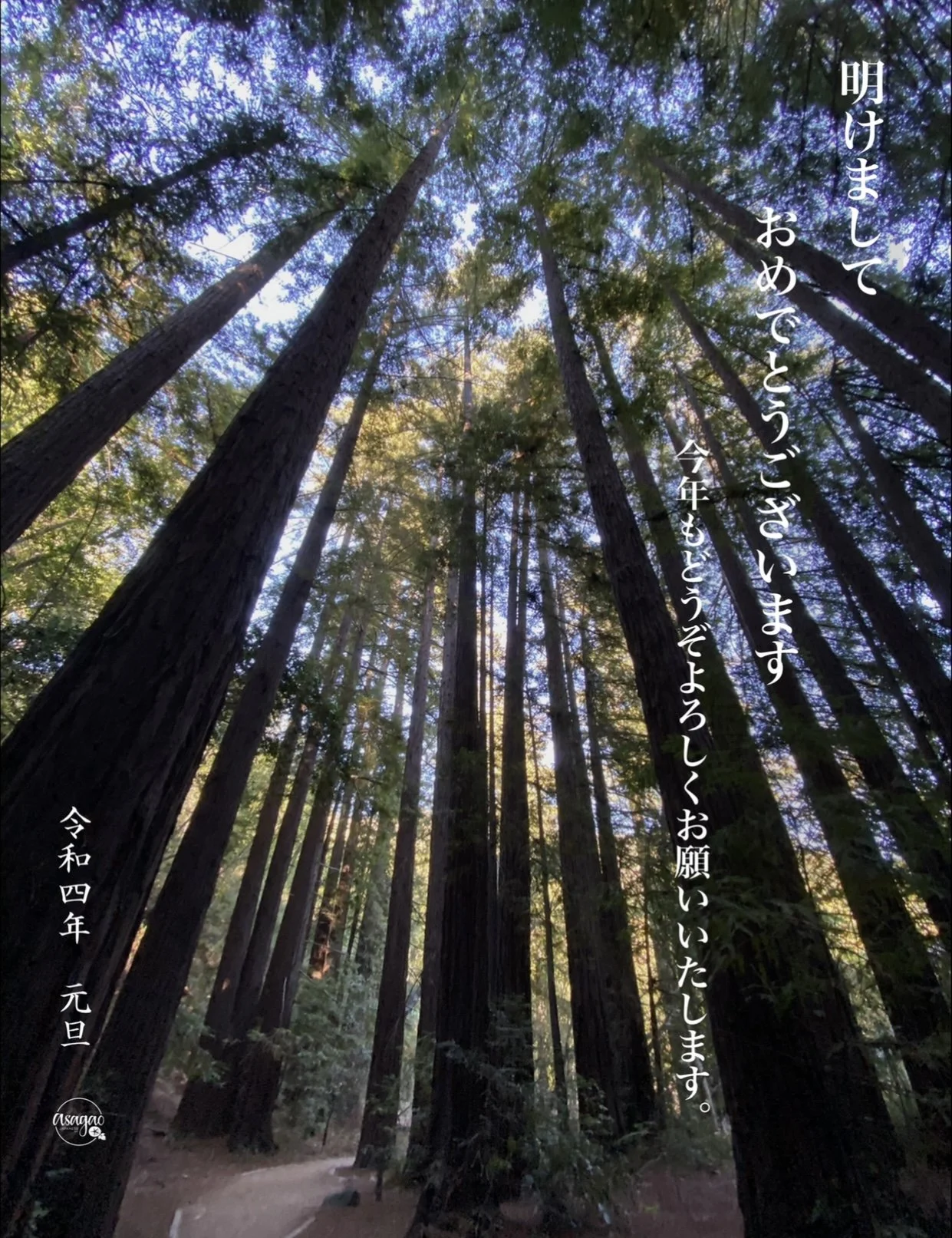 Happy New Year! 明けましておめでとうございます！