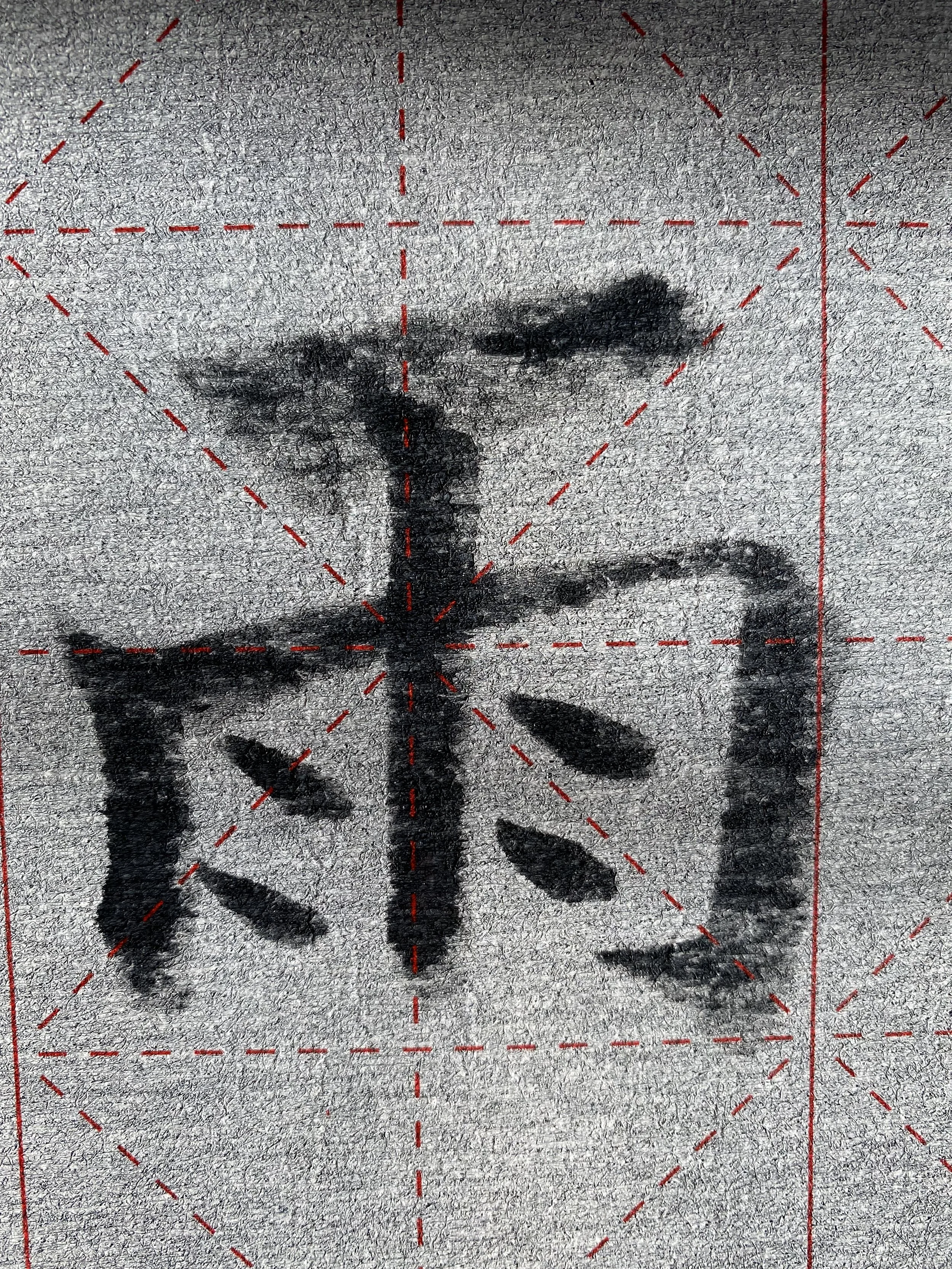 Raining Cats &amp; Dogs