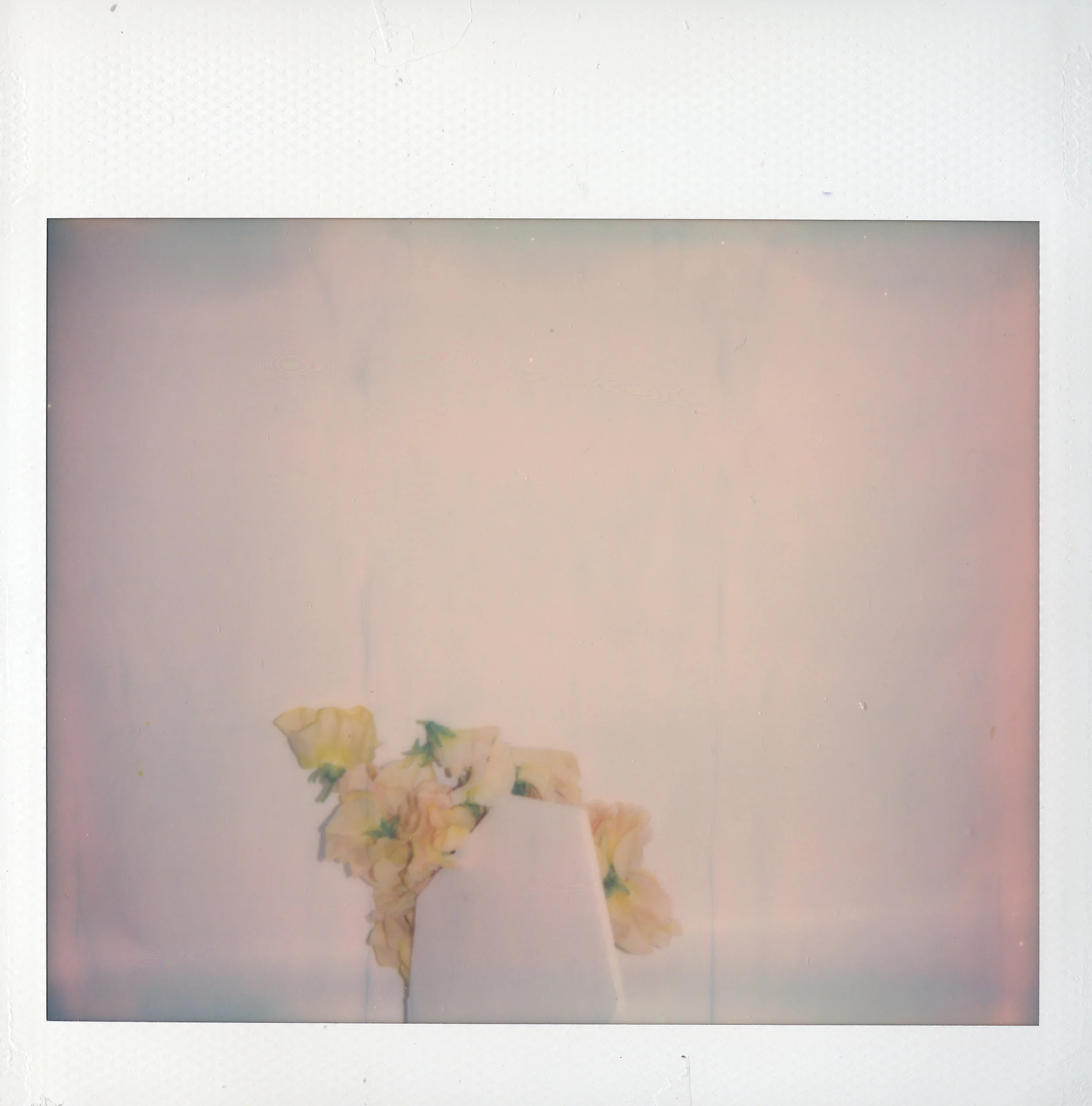 In Memoriam Polaroid print 4” x 4 1/10” 2018