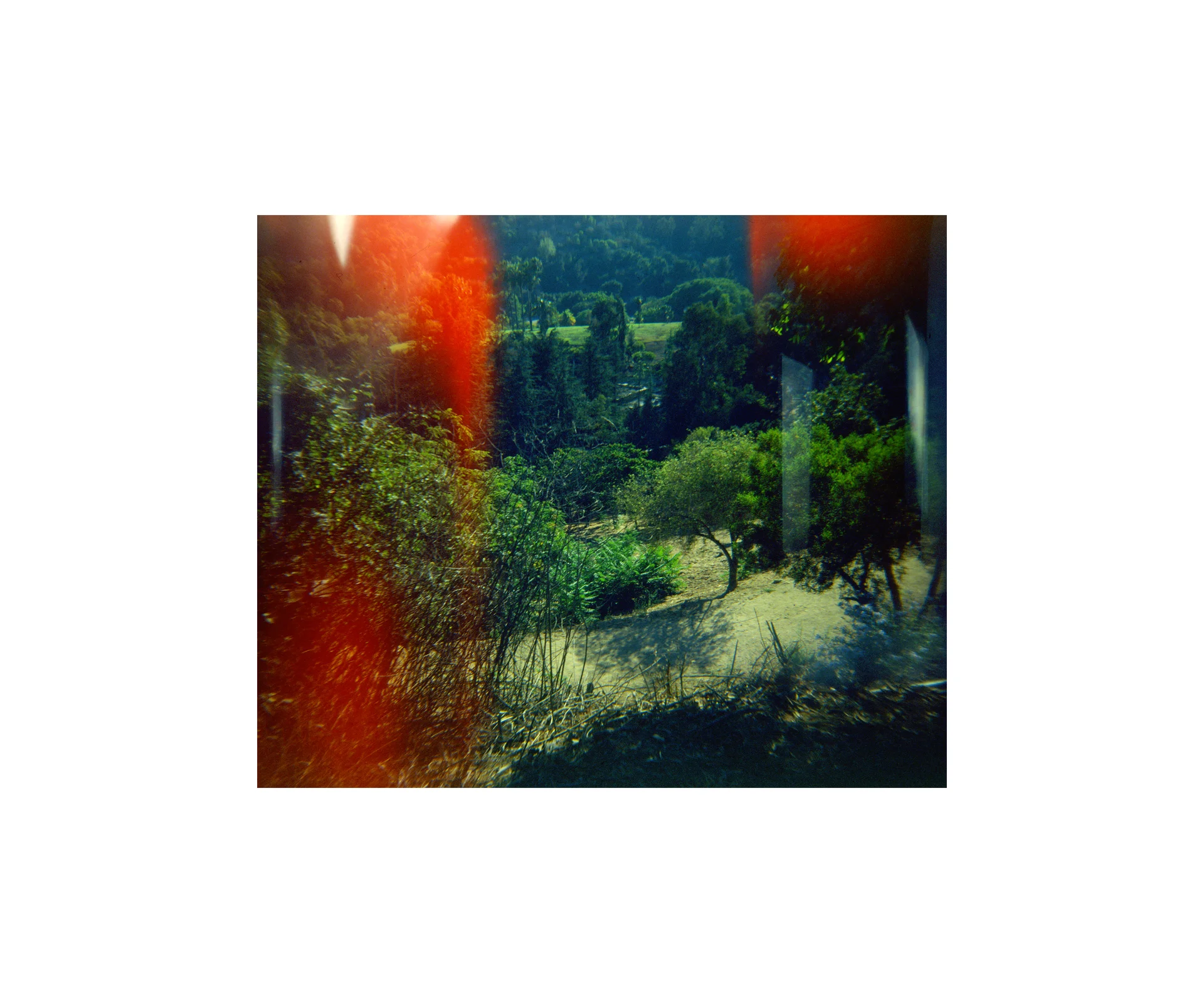 parque.jpg
