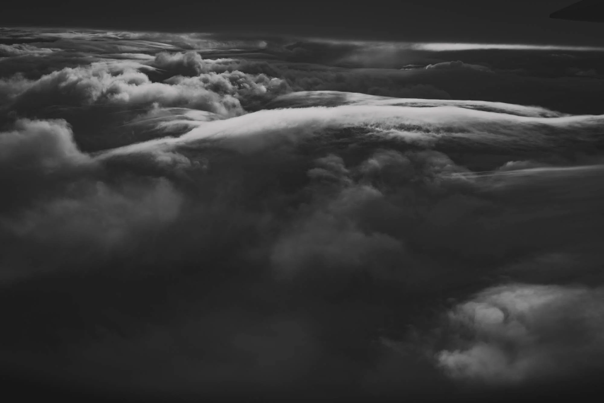 6T6A8971.jpg