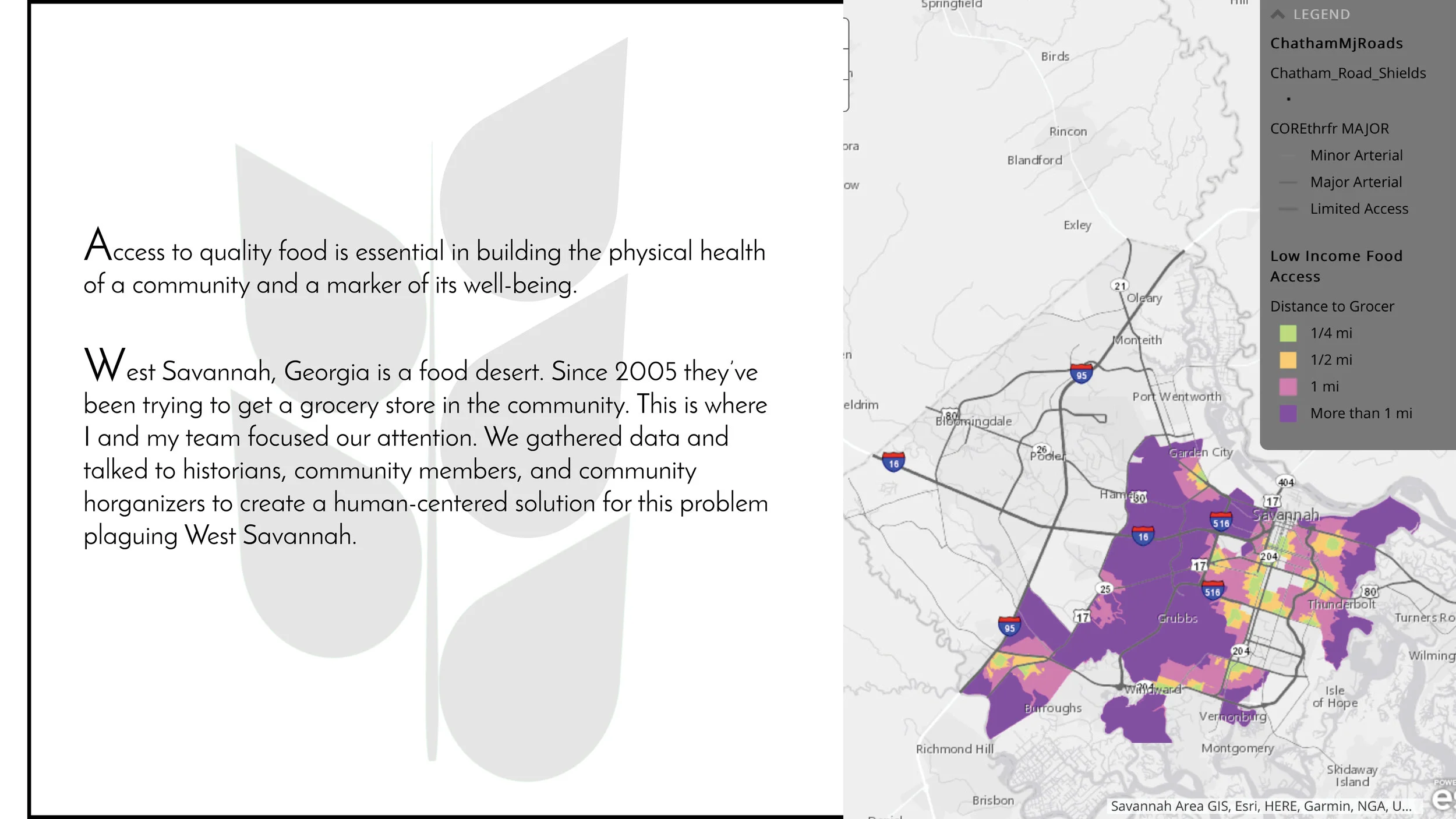 Food Desert Map.jpg