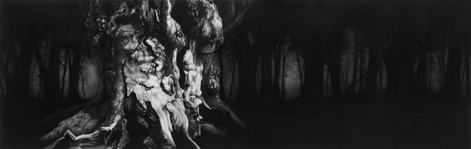 Windsor Great Park II - 65cm x 200cm - Chatcoal & Conte, paper mounted on wood - 2014 SOLD
