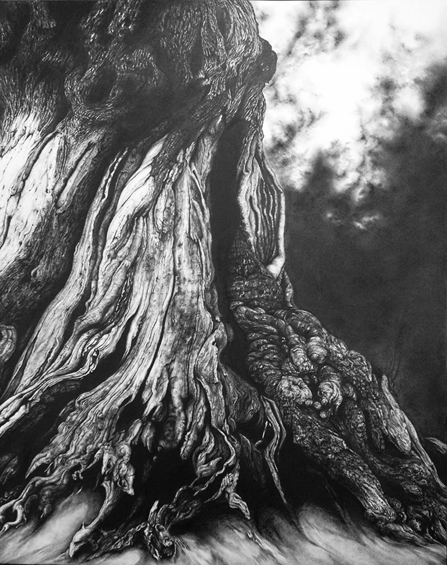 Sundridge I - Graphite on Paper - 75cm x 55cm - 2013 SOLD