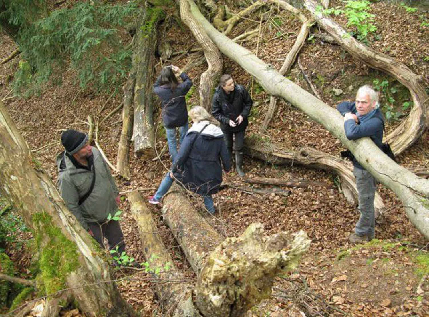 Exploring the woods...... April 2017