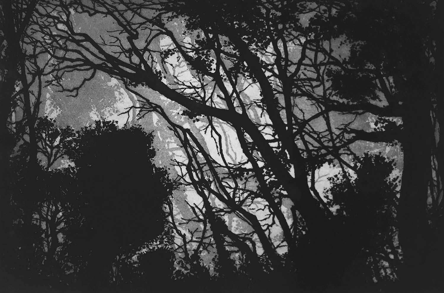 Lady Down, Tisbury - Etching - 40cm x 60cm - 2017 (Edition of 45)