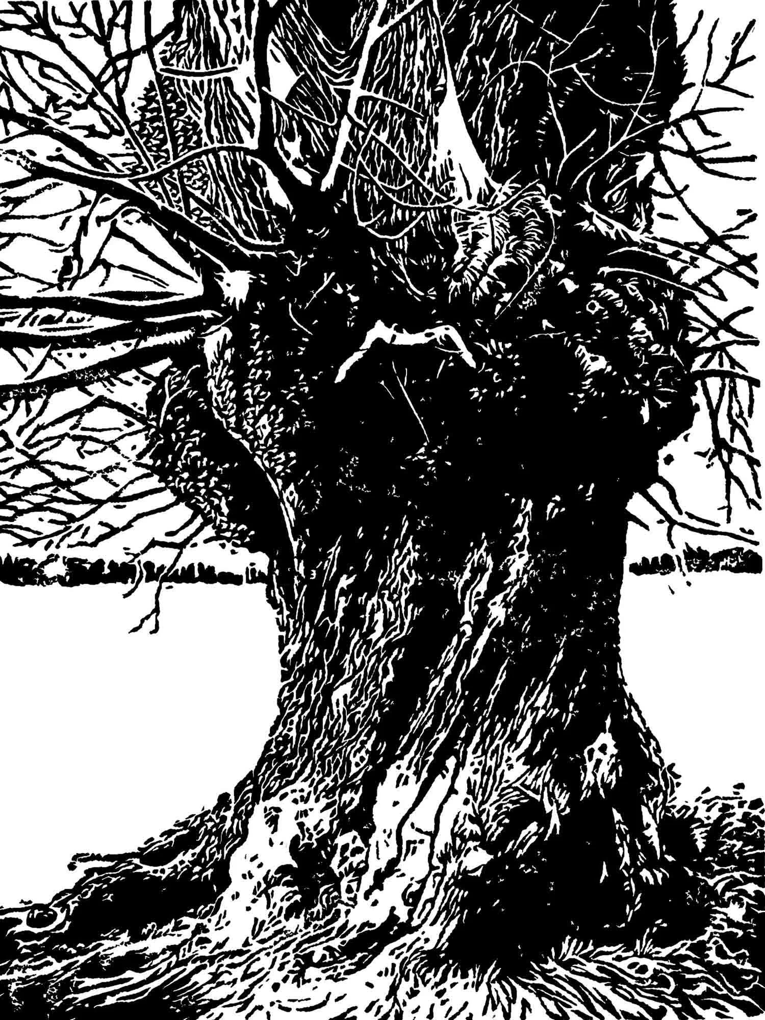 Greenwich Park, Wood Engraving 2018
