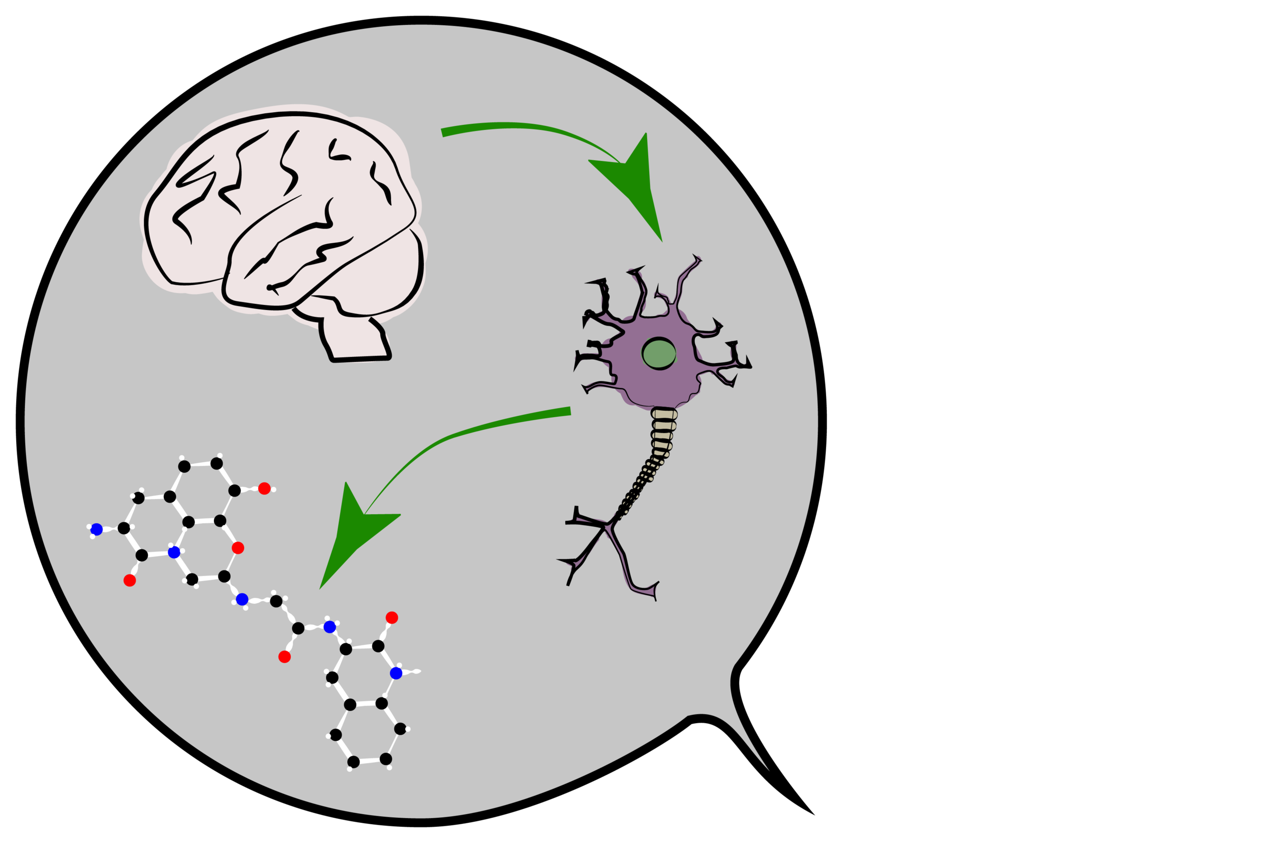 Understanding-explanations-01.png