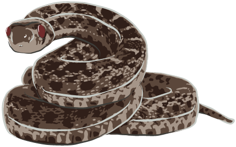 snake01-01.png