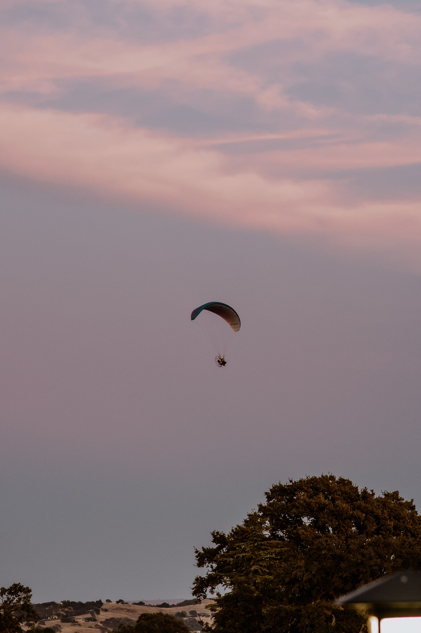DSC_2306.jpg