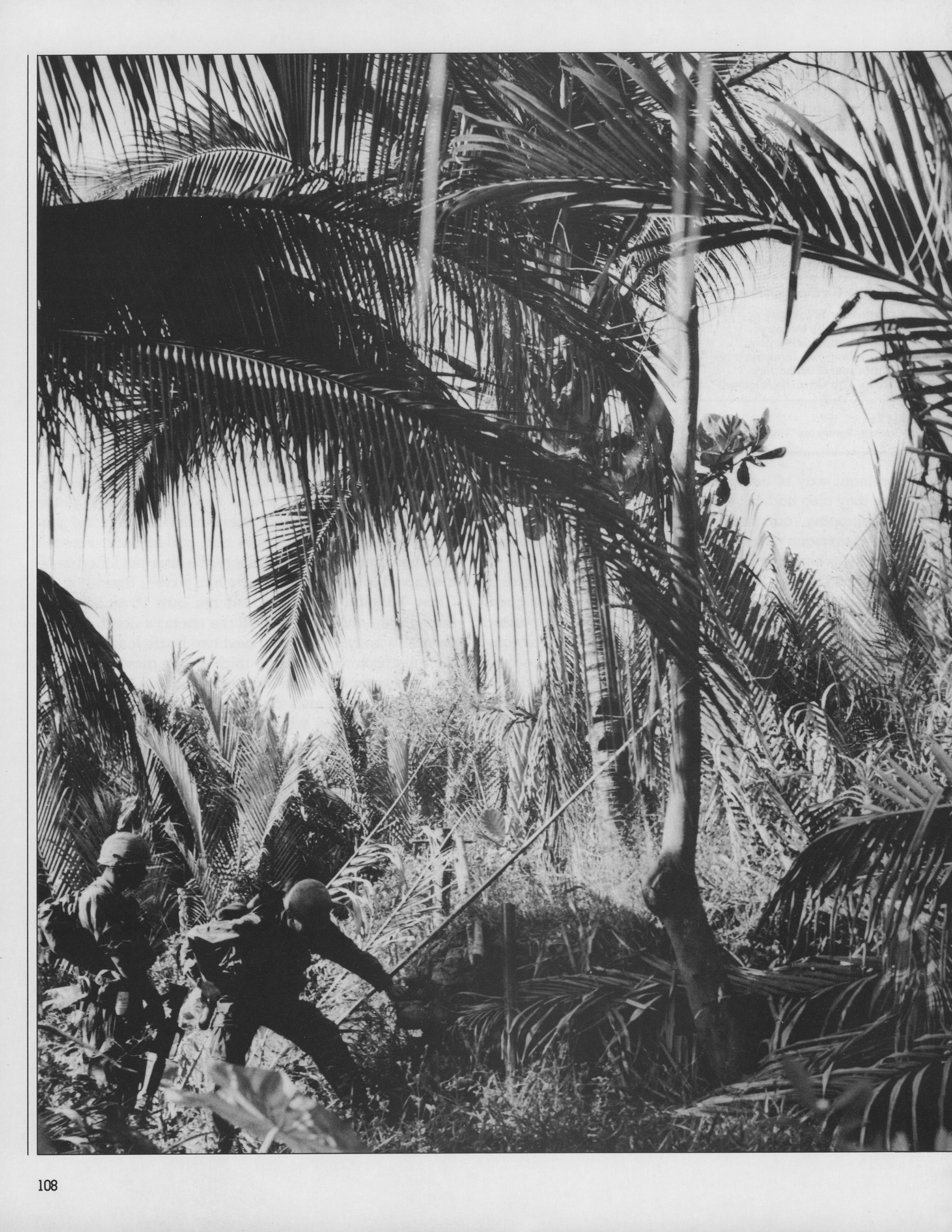  Full page view of  palm tree, page 108, volume 22 of The Vietnam Experience.  