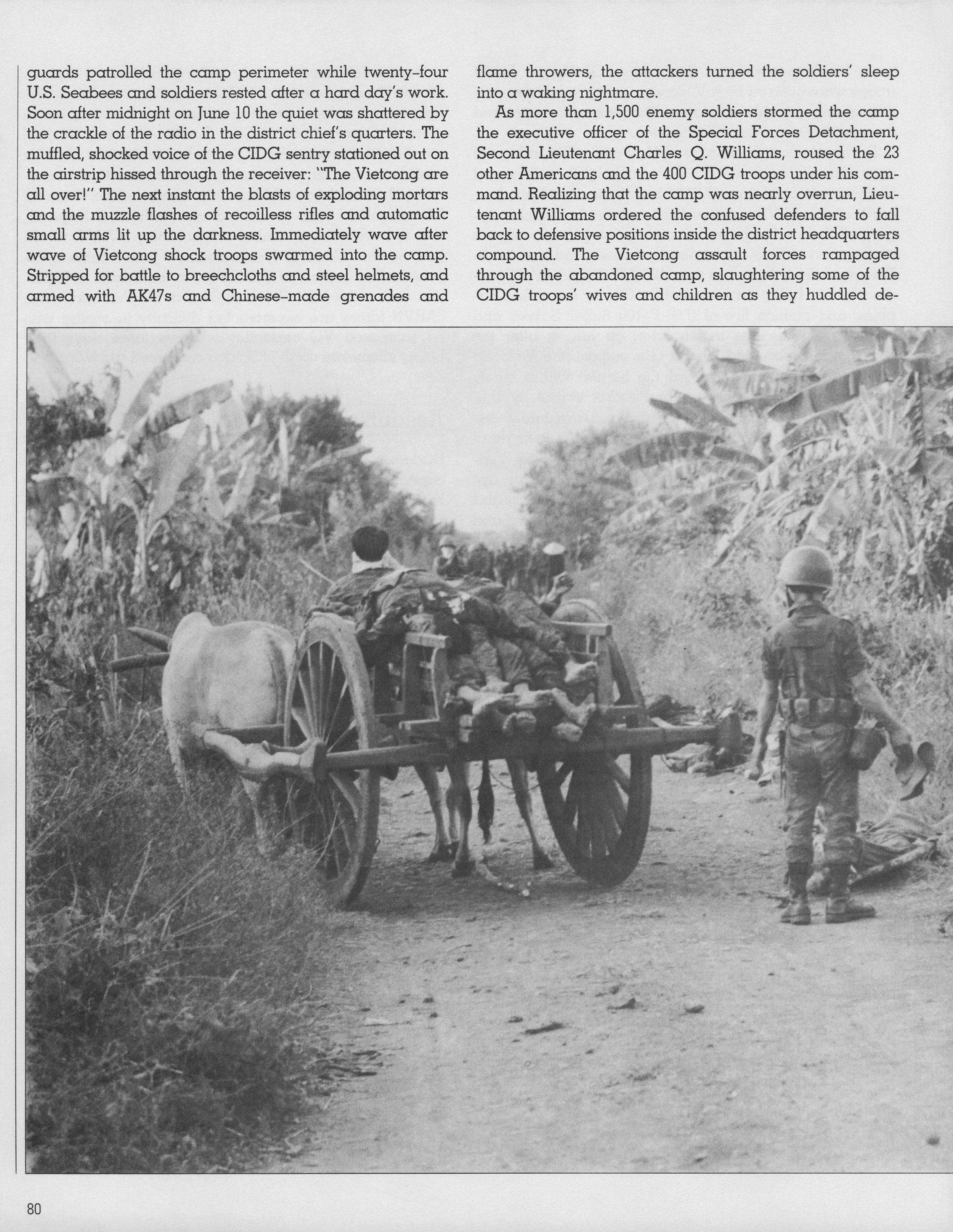  Full page view of  palm tree, page 80, volume 5 of of The Vietnam Experience.  