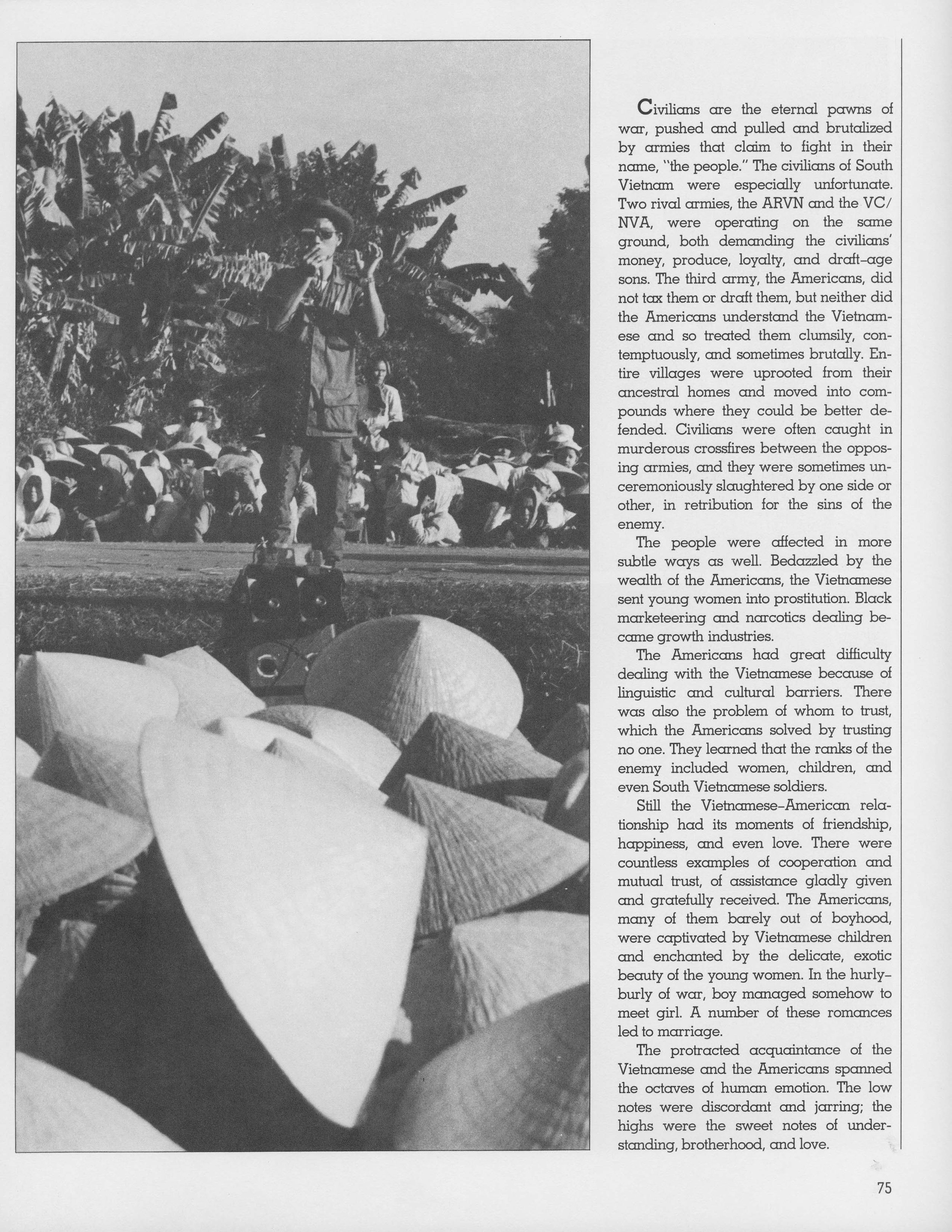  Full page view of  palm tree, page 75, volume 8 of The Vietnam Experience.  