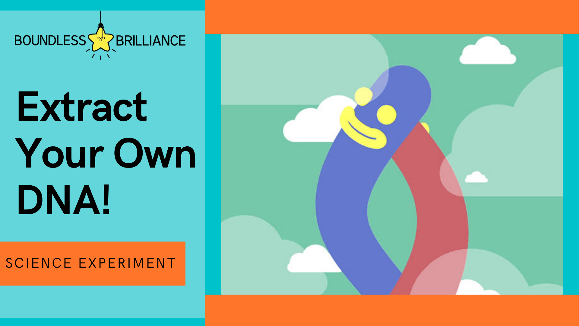 Extract Your Own DNA — Boundless Brilliance