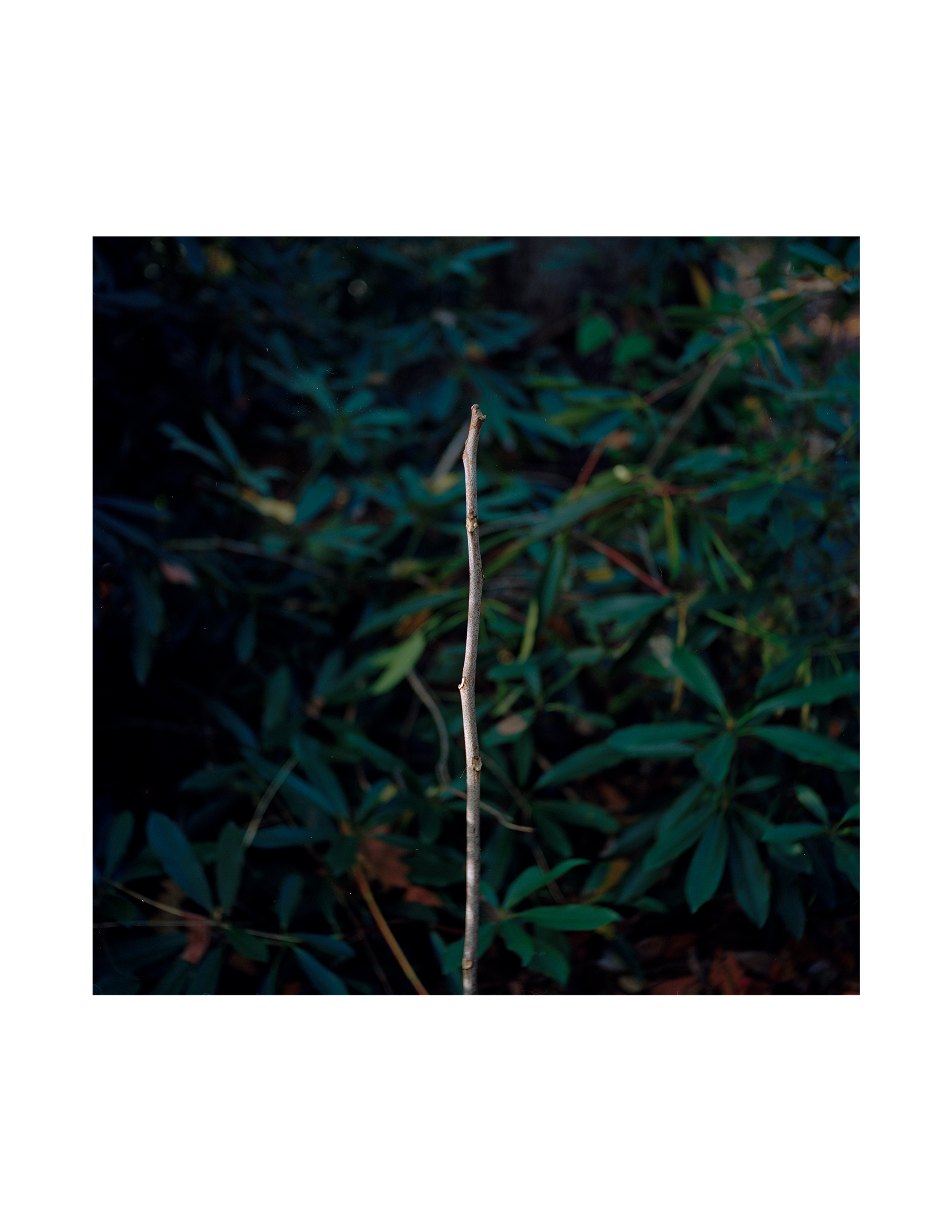 Untitled-3.png