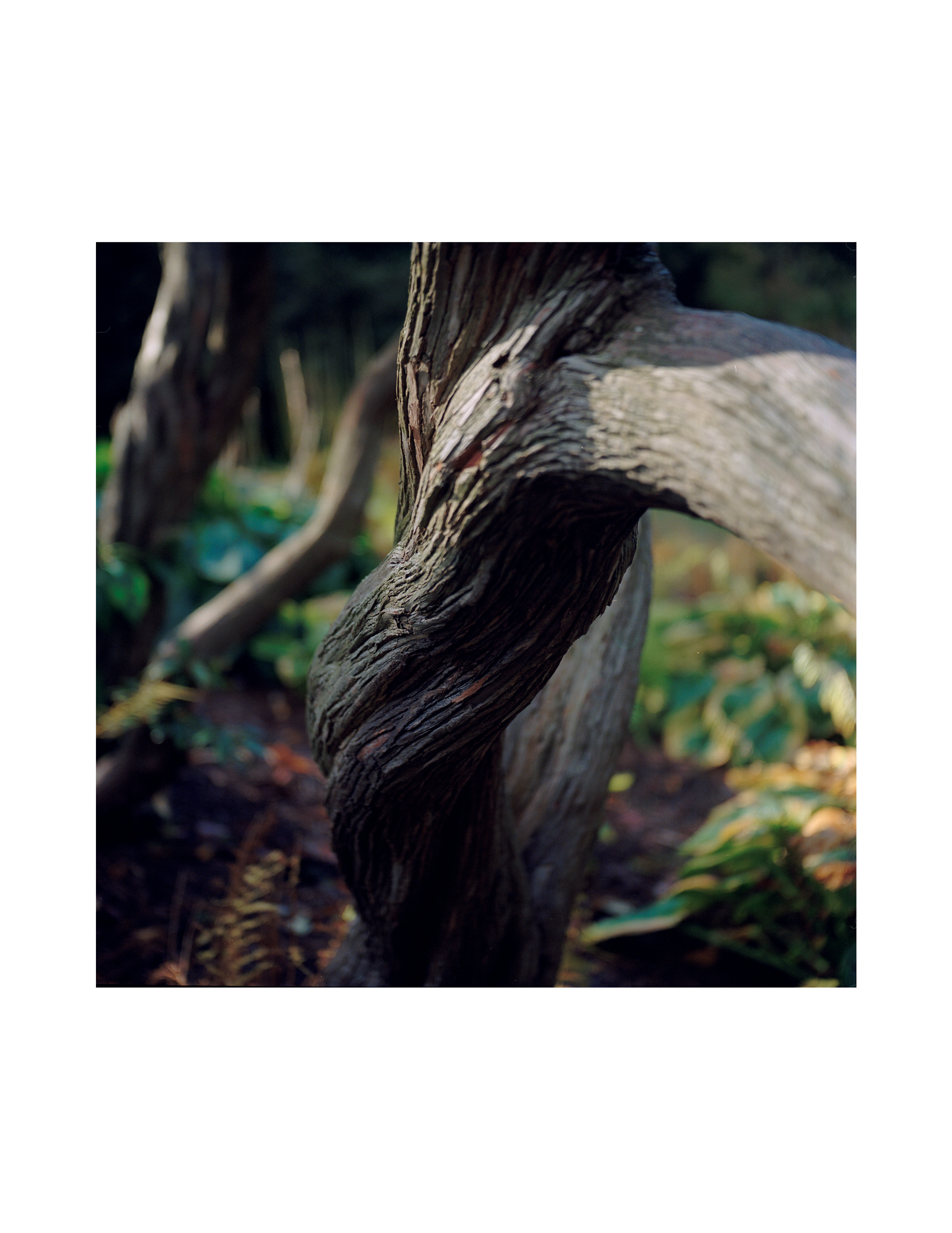 Untitled-4.png