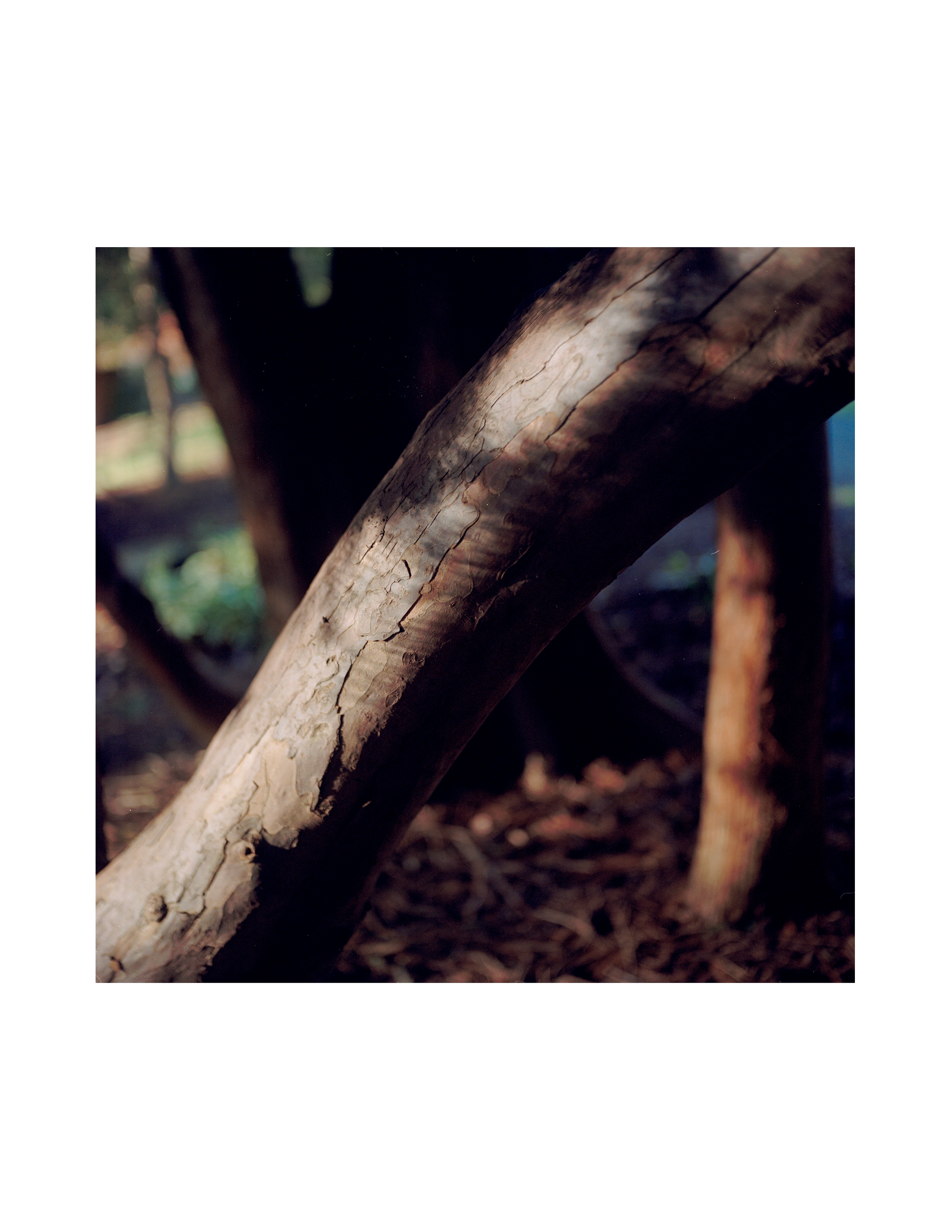 Untitled-5.png