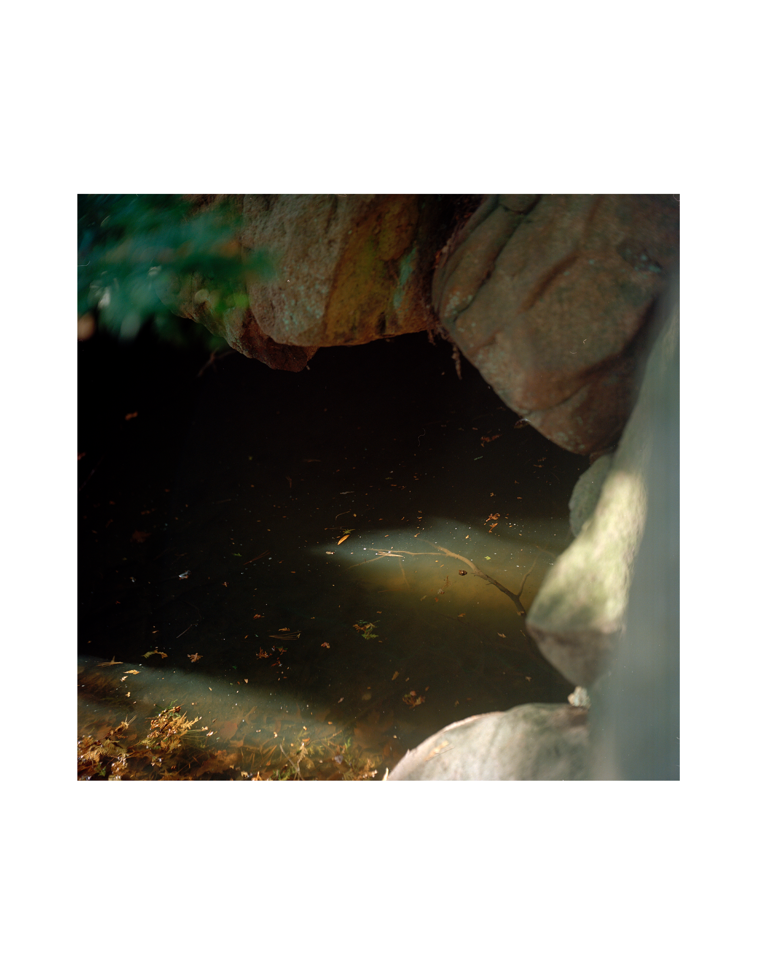Untitled-6.png