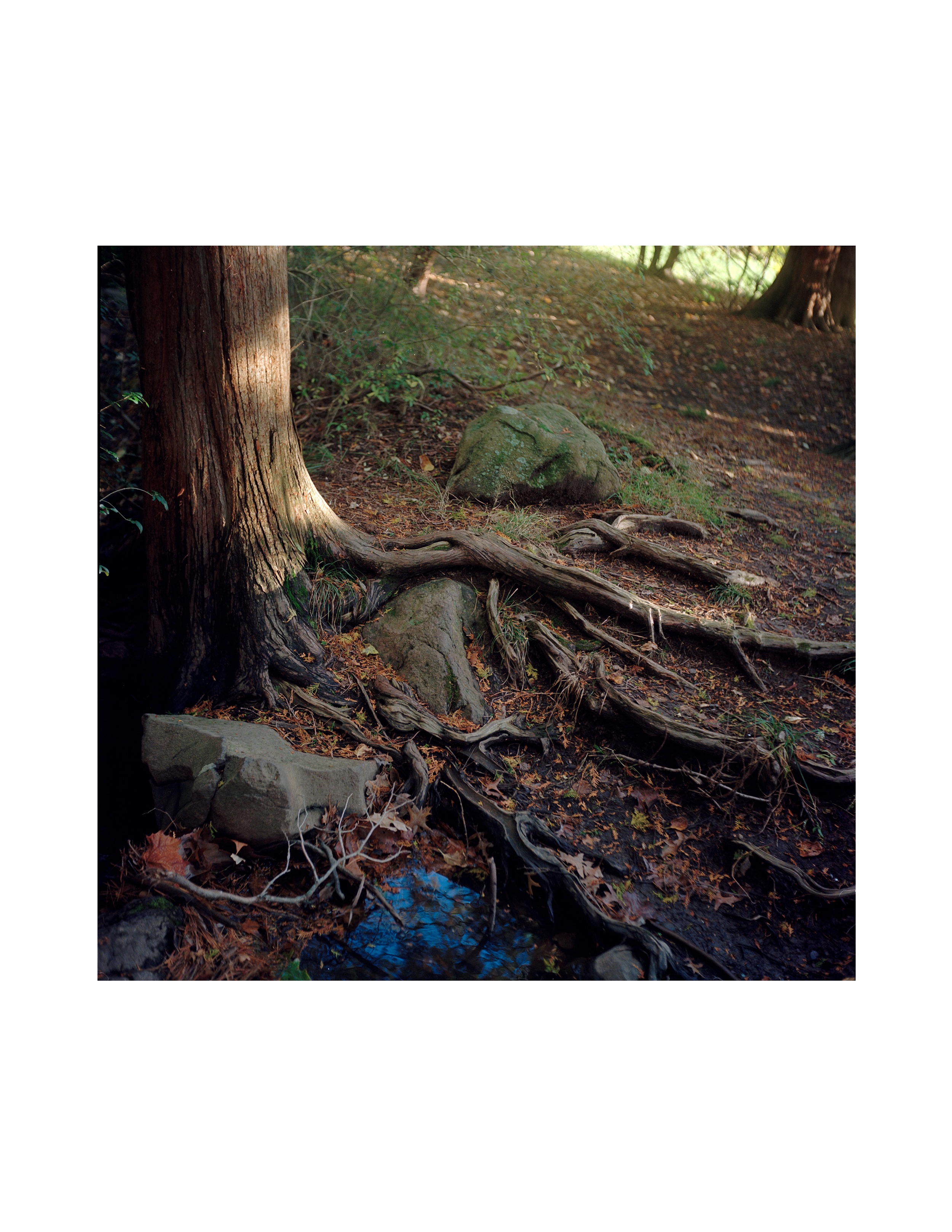 Untitled-7.png