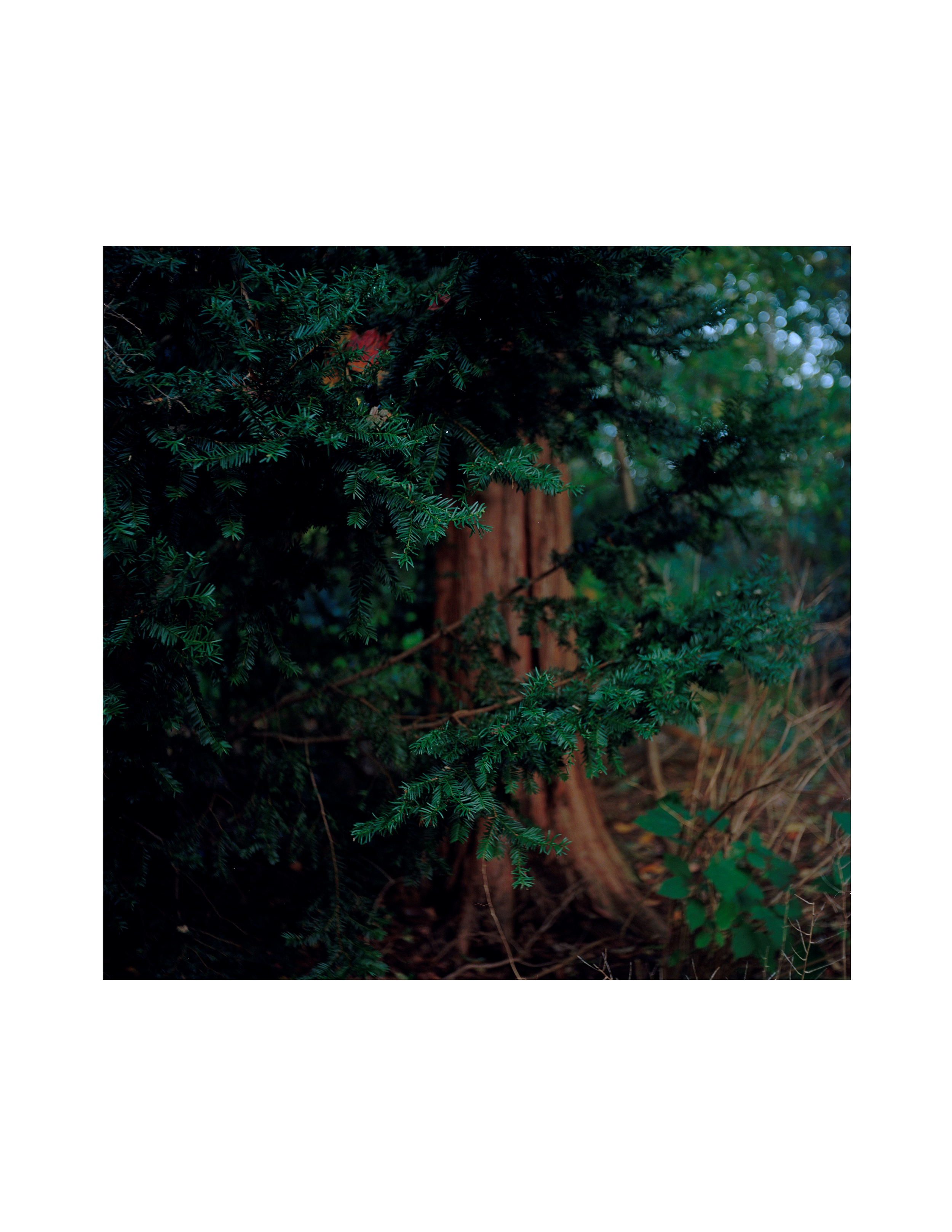 Untitled-8.png