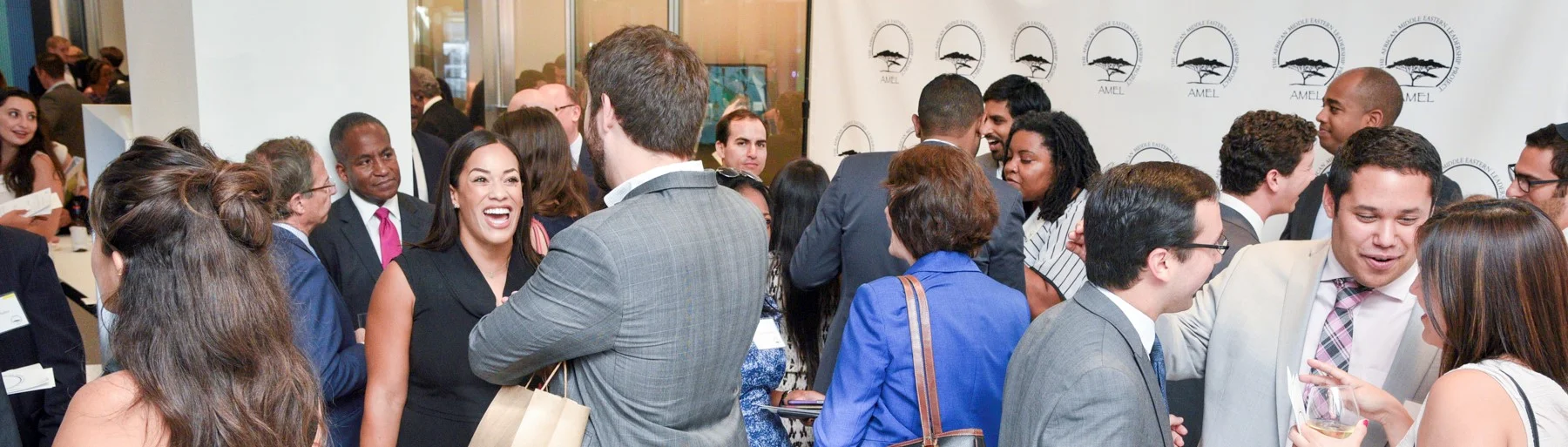 AMEL Project Launch-0391 (2).JPG