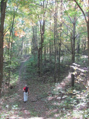 Short Hills Provincial Park, Ontario, Canada (photo in public domain)