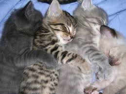 Snug as kittens: even older kiddos need to feel relaxed and to unwind with parental support sometimes.