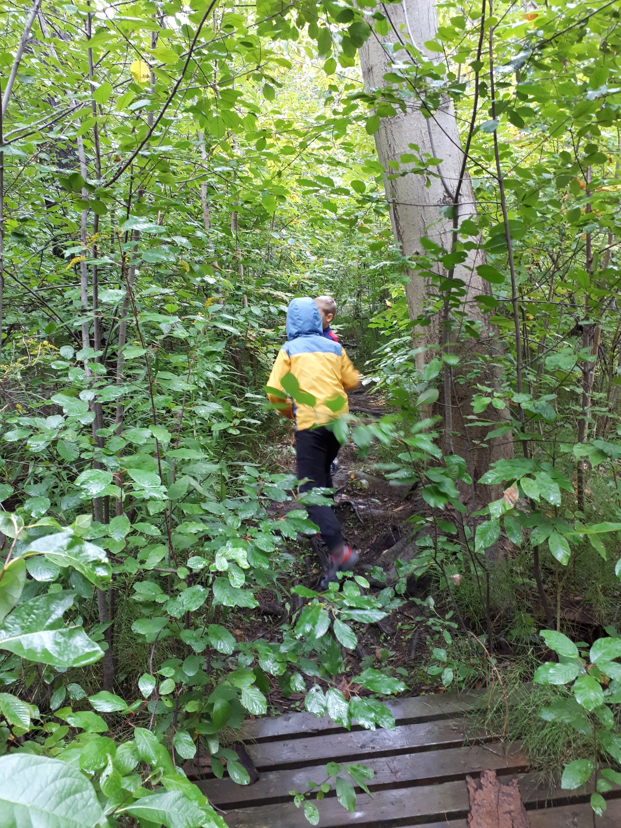 We Know Why Nature is Good for our Health but How Do We Get Outside More? An OT’s perspective