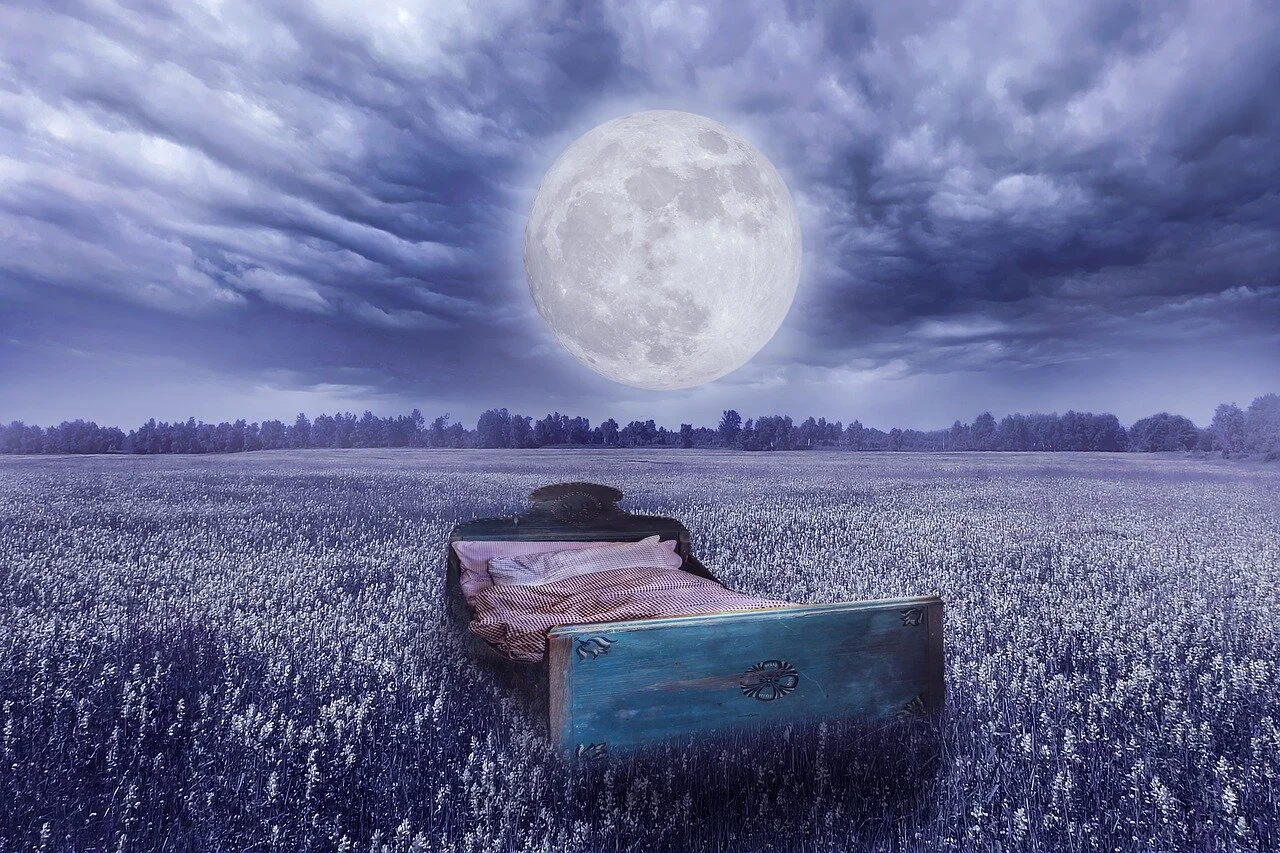 Nature-Led Sleep: How Our Daily Rhythm and Environment Can Pave the Way for Sleep 