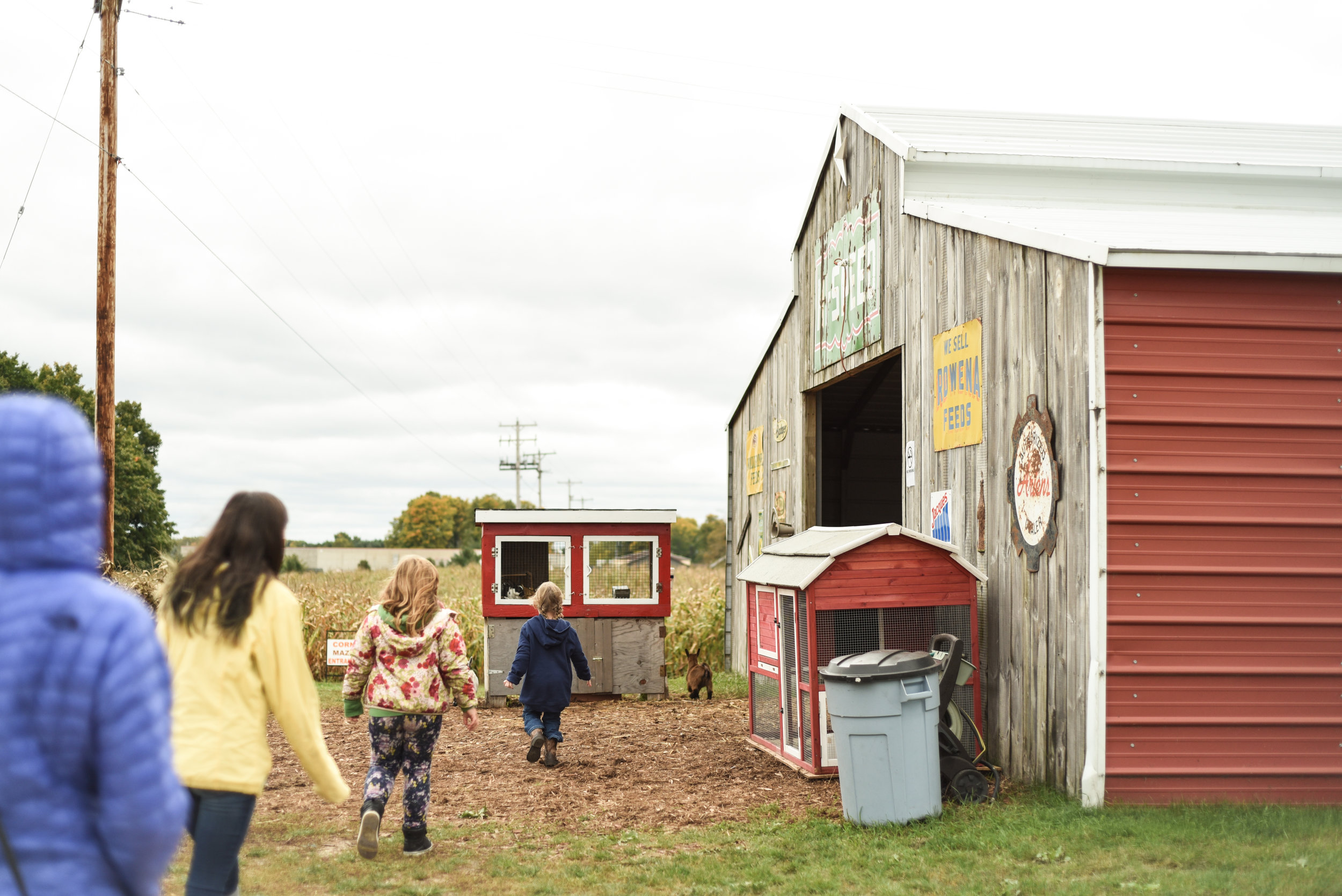 Pahl's Country Store