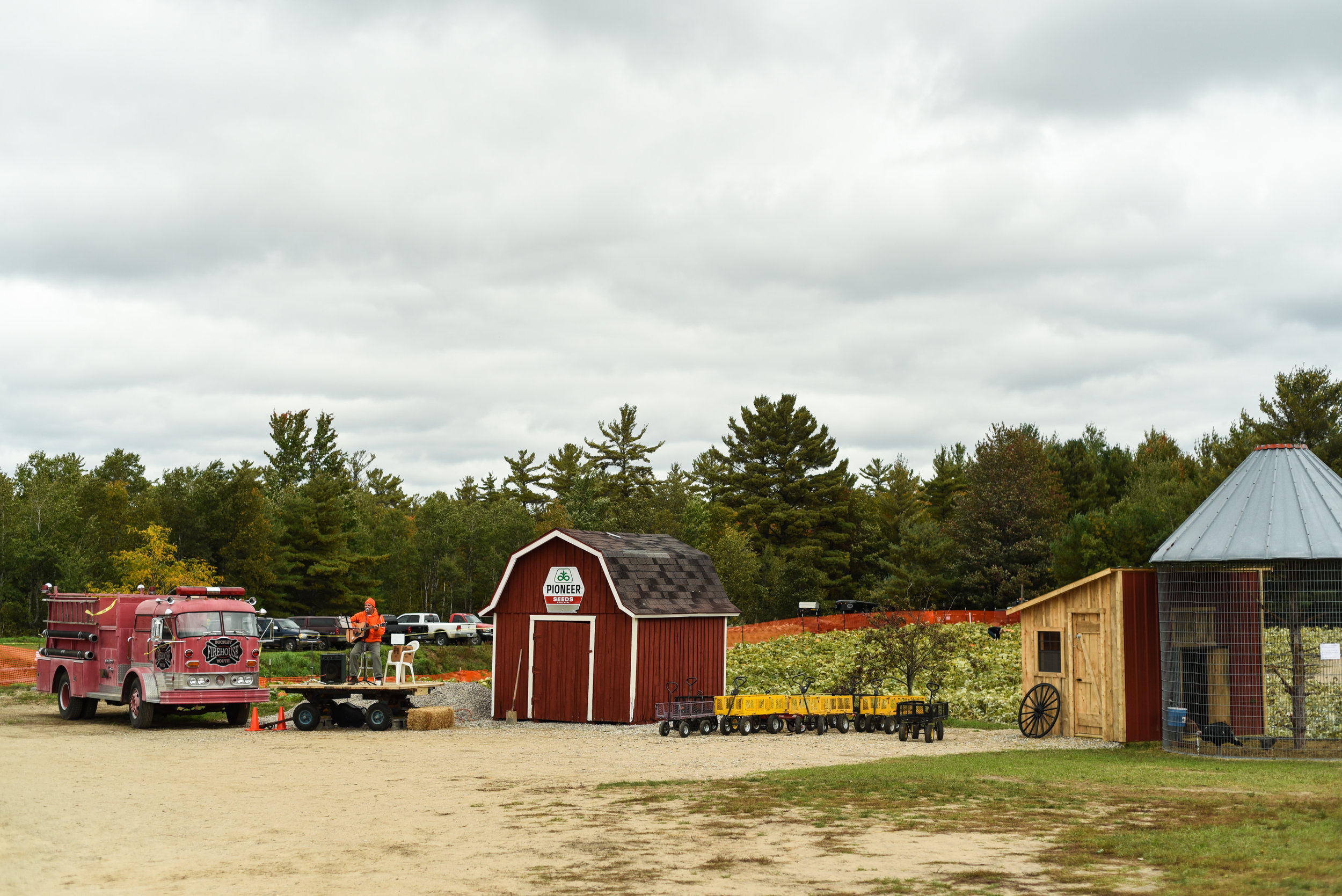 Buckley, Michigan Farm