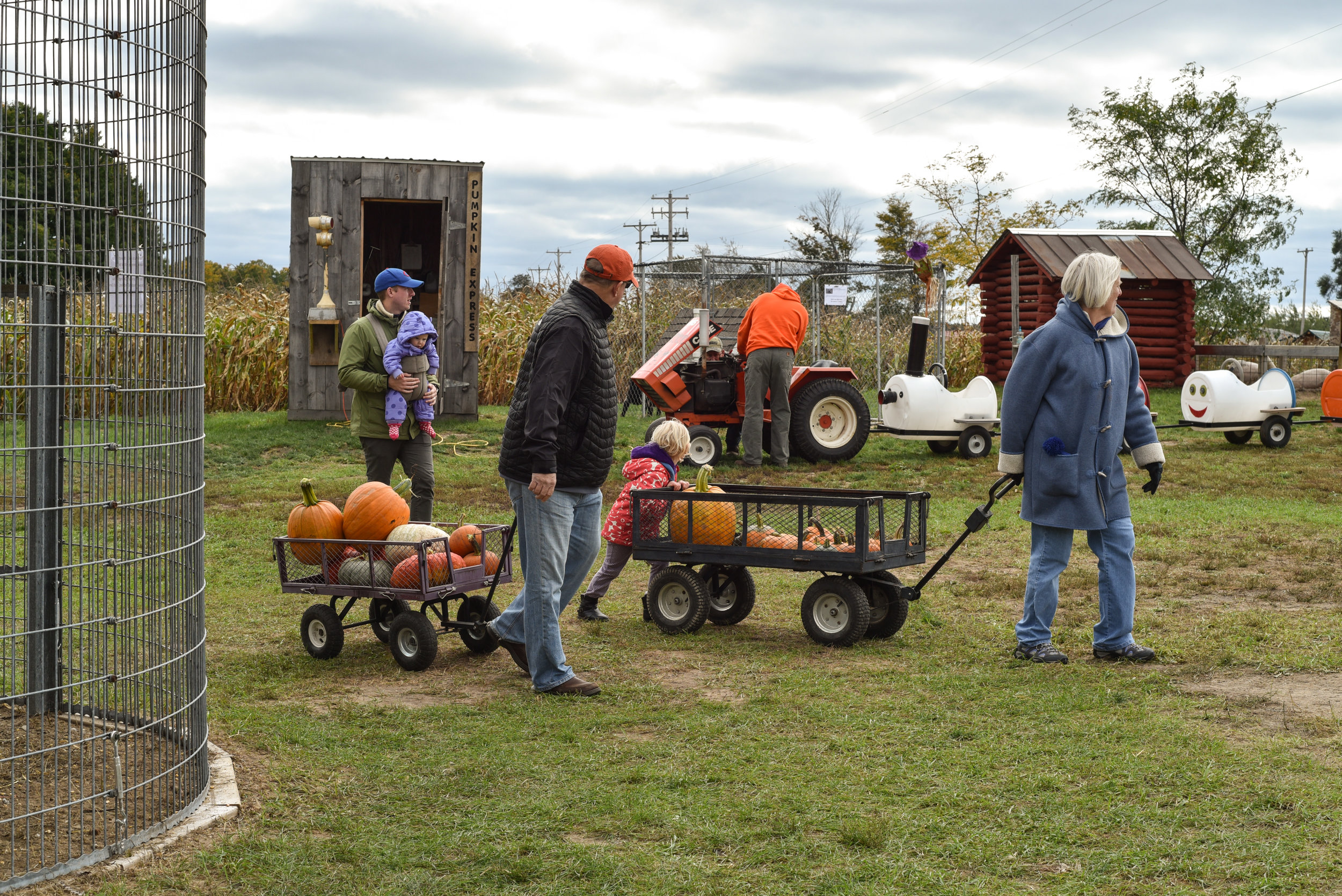 Pumpkinpatch-19.jpg