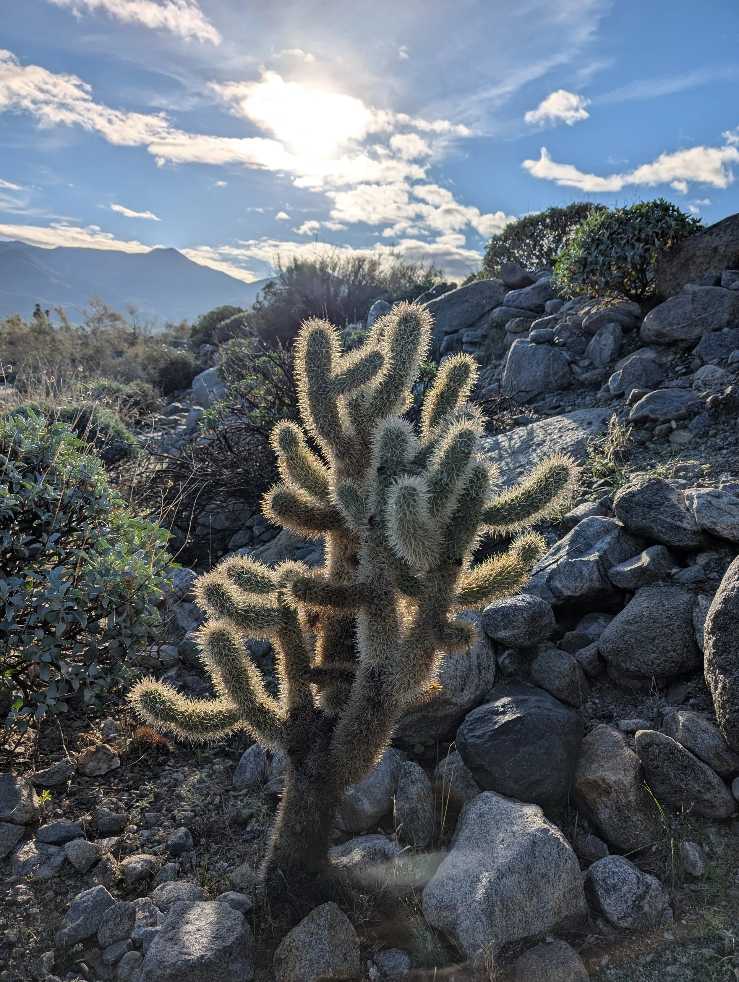 Wednesday Testimony Meeting: "Judge not"