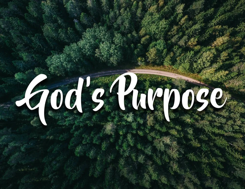 Wednesday Testimony Meeting: God's Purpose