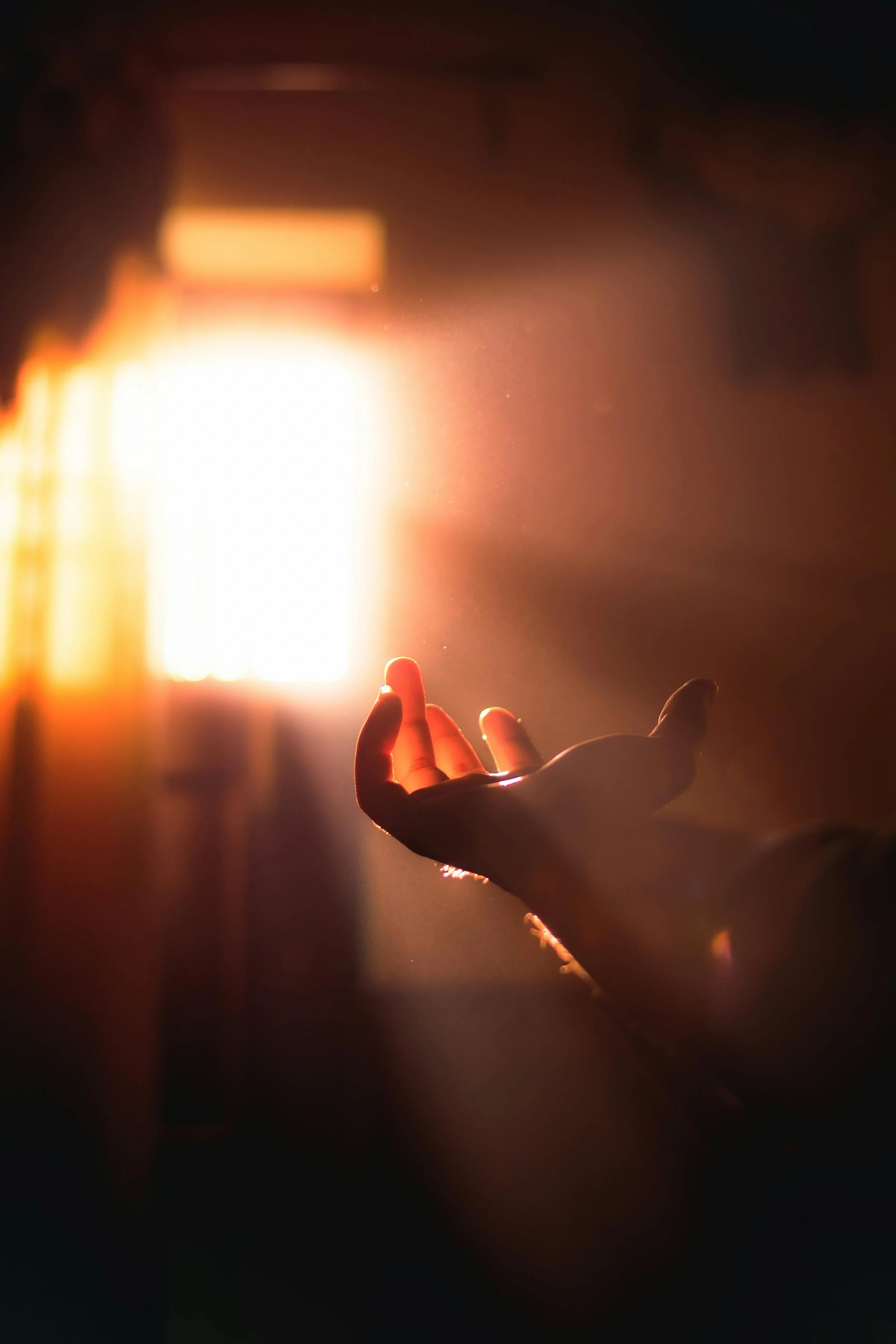 Wednesday Testimony Meeting: What's Really Important?