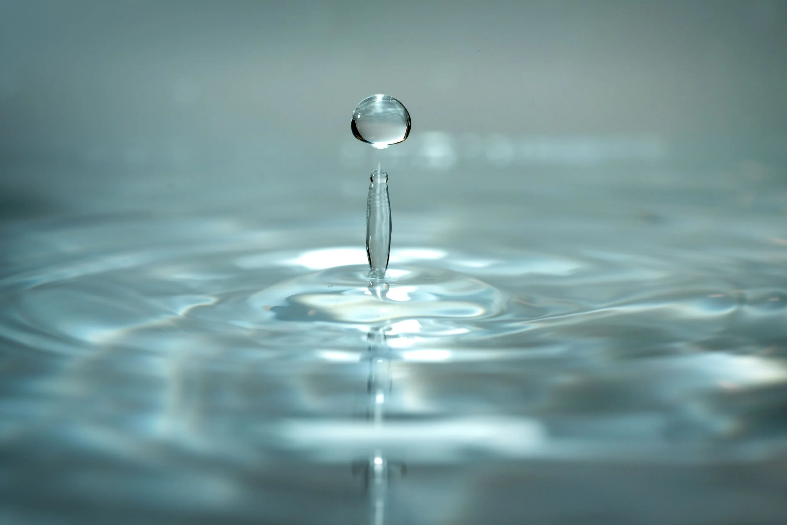 Wednesday Testimony Meeting: Purity