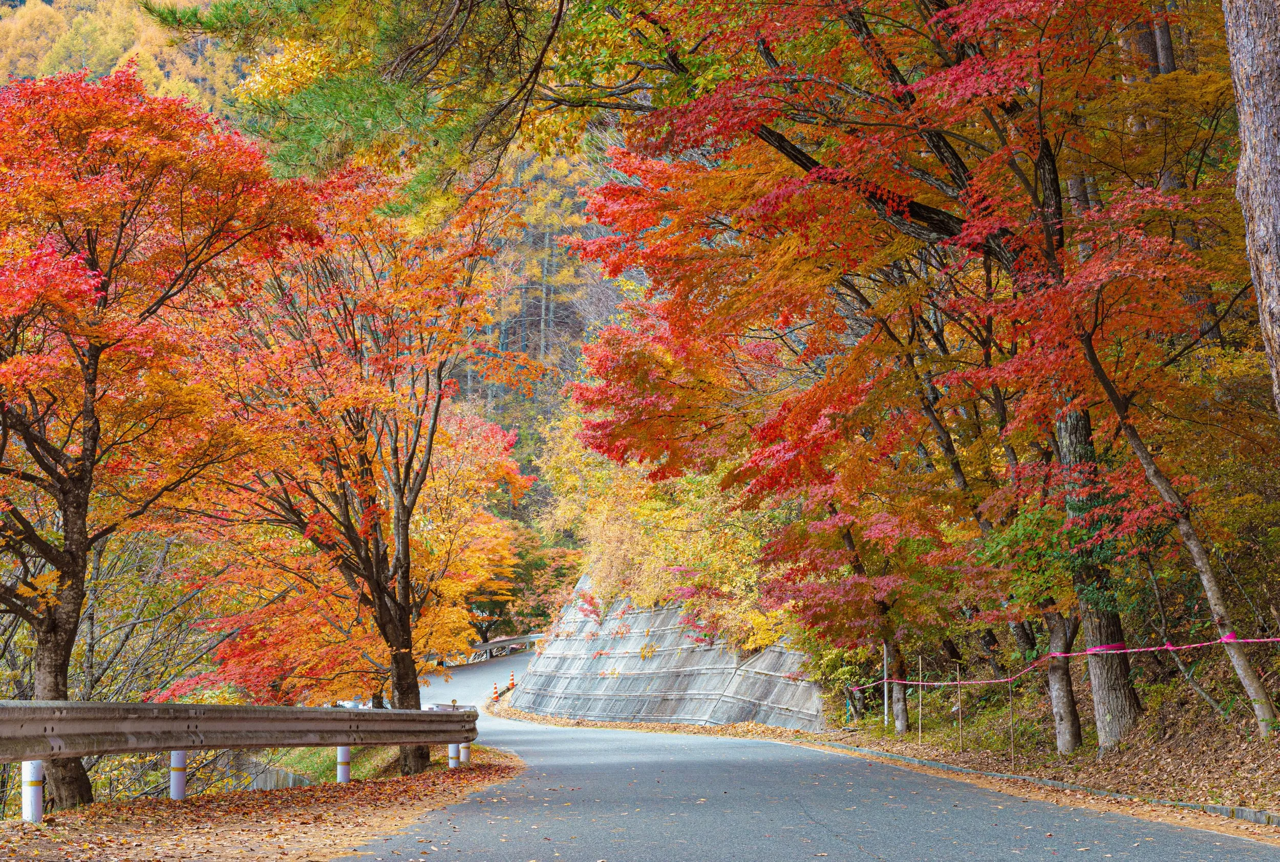 Wednesday Testimony Meeting: Embracing Change