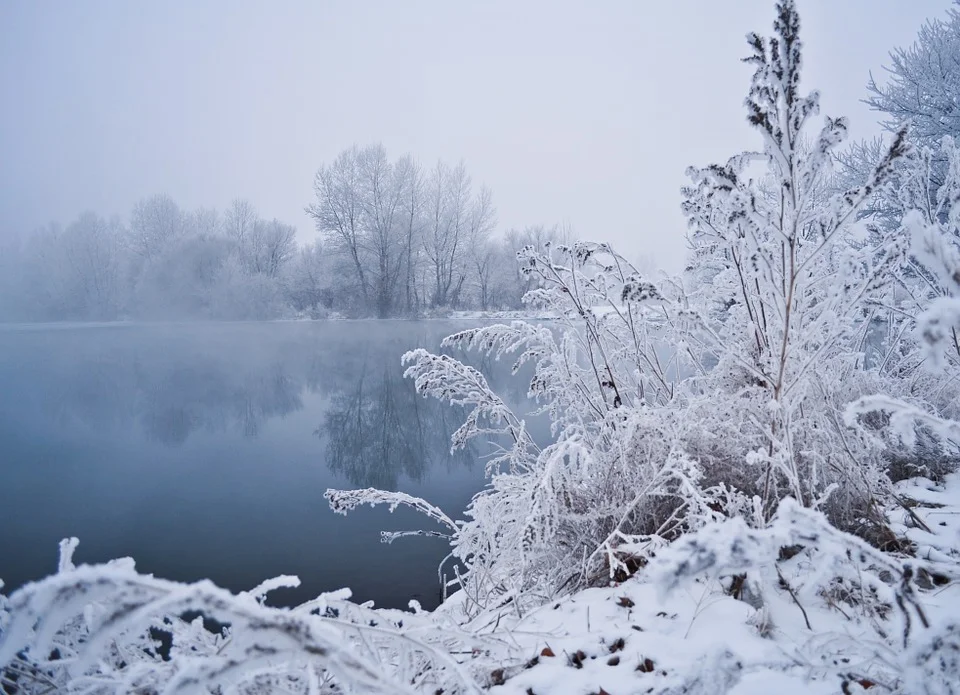 winter 1.jpg