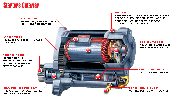 starter-profile.gif